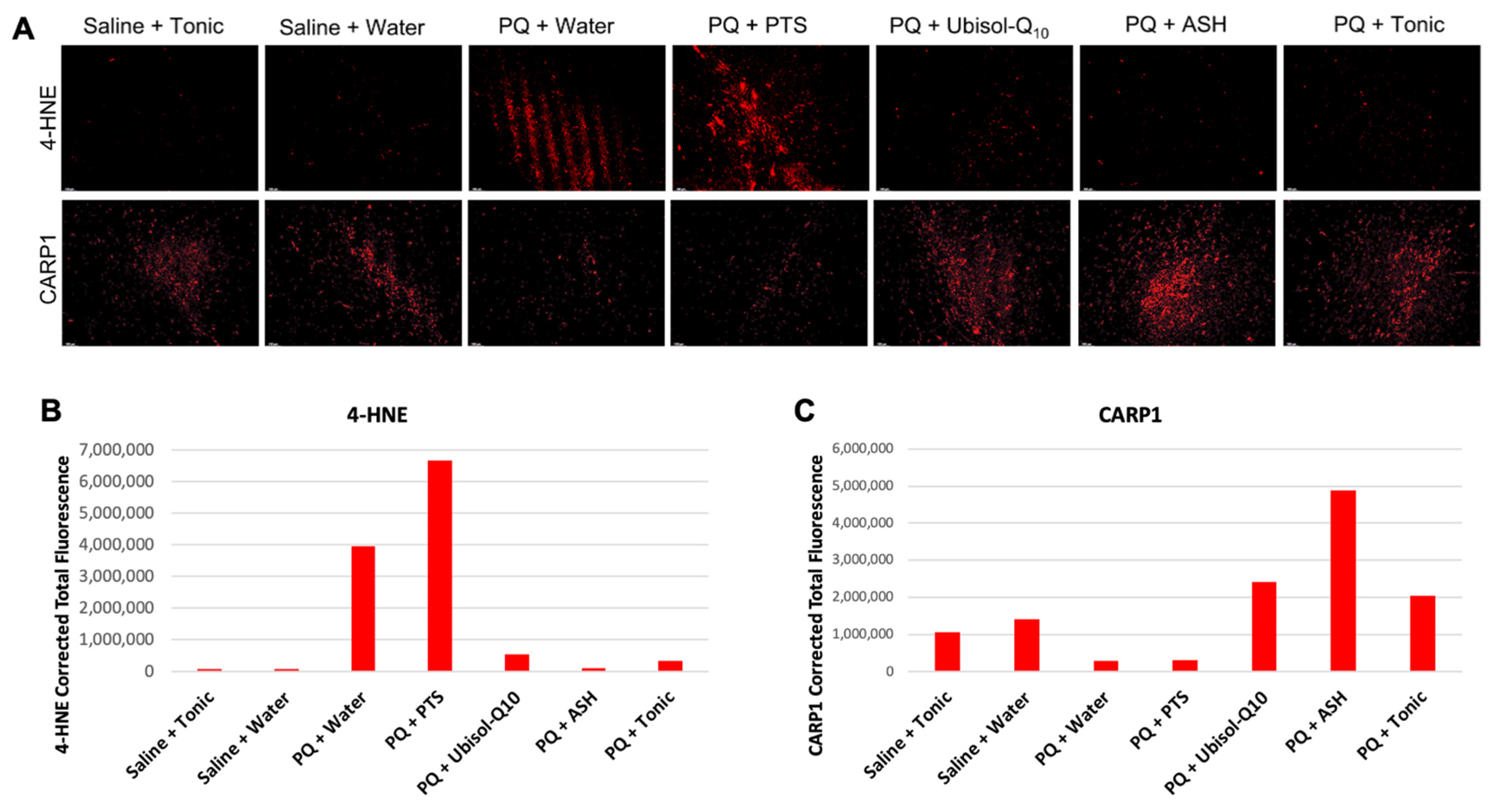 Antioxidants 10 00563 g005
