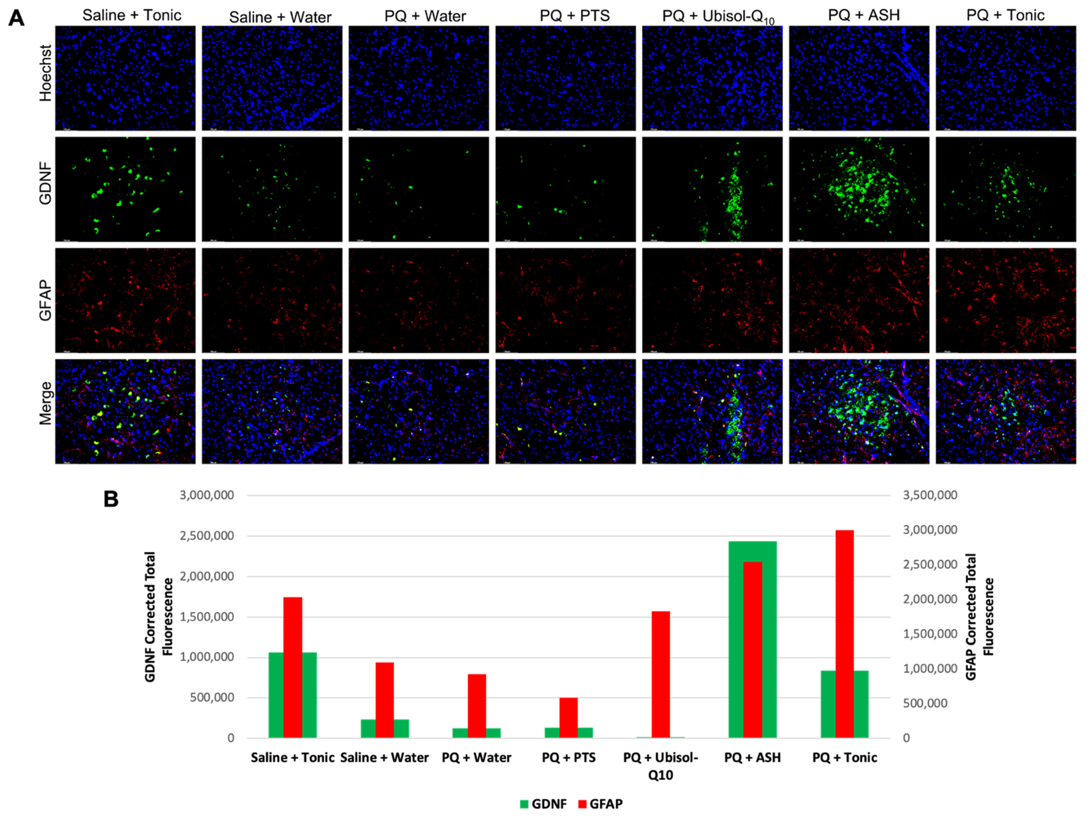 Antioxidants 10 00563 g007