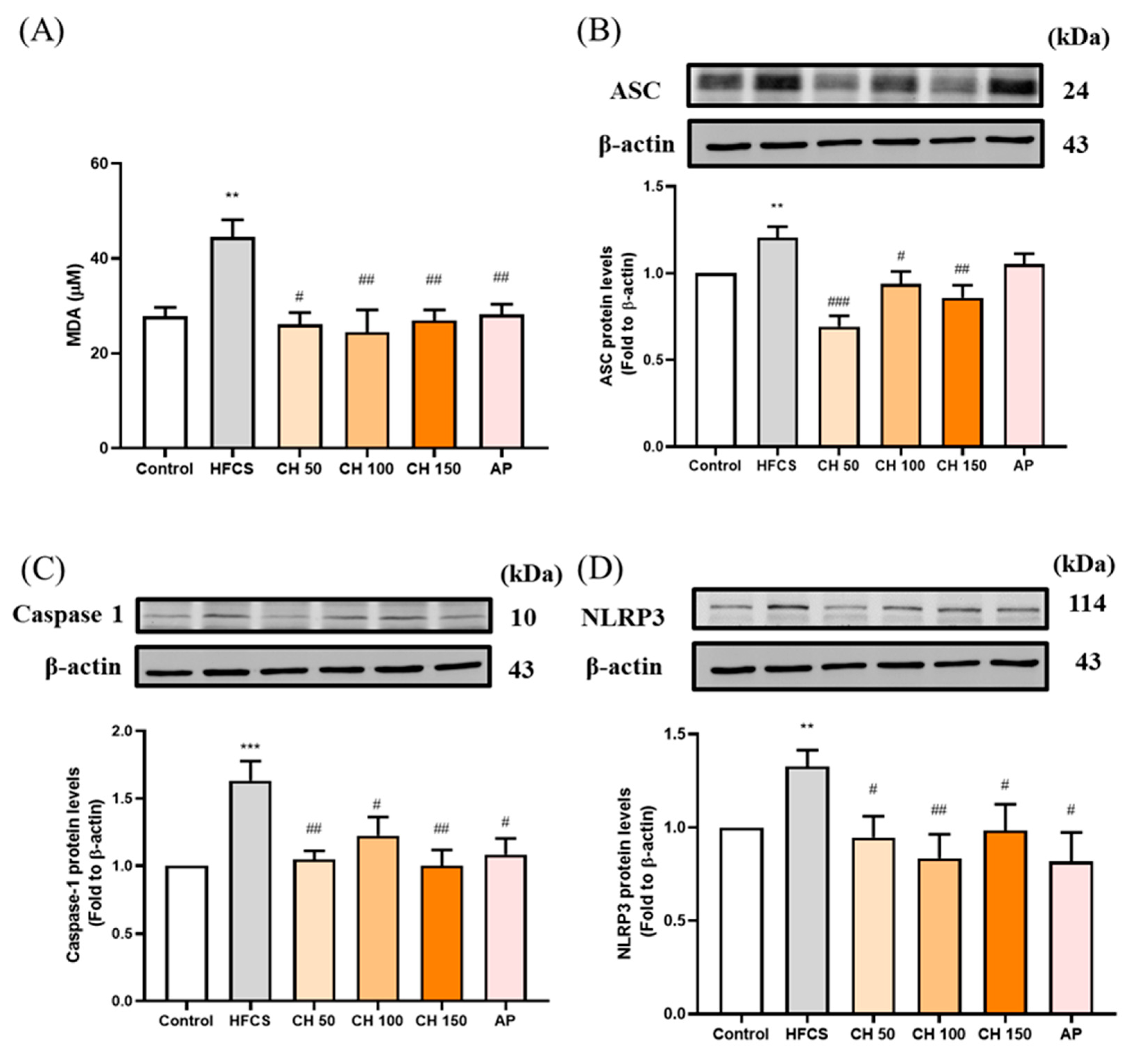 Antioxidants 10 00564 g006