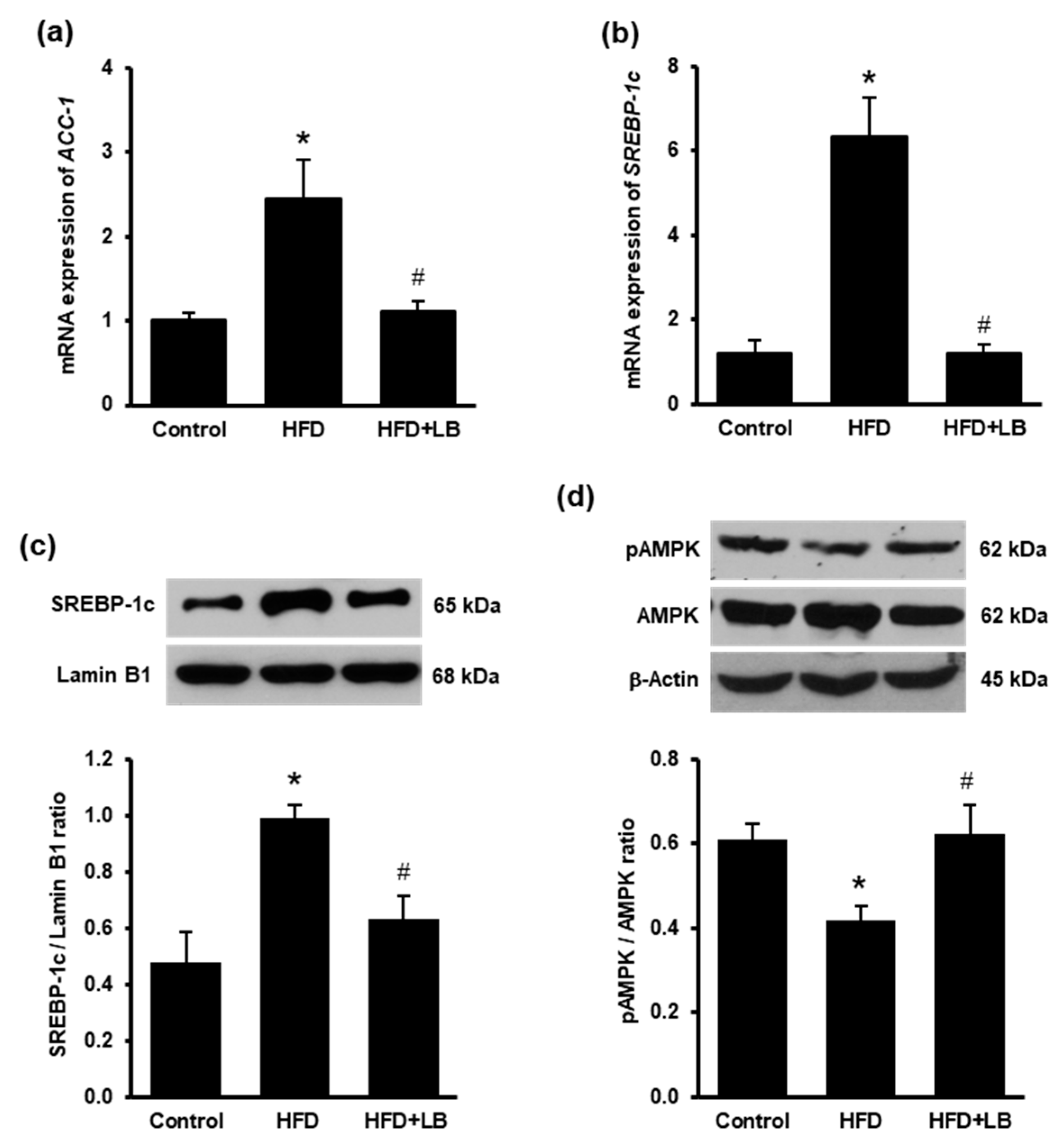 Antioxidants 10 00565 g003 Antioxidants 10 00565 g003