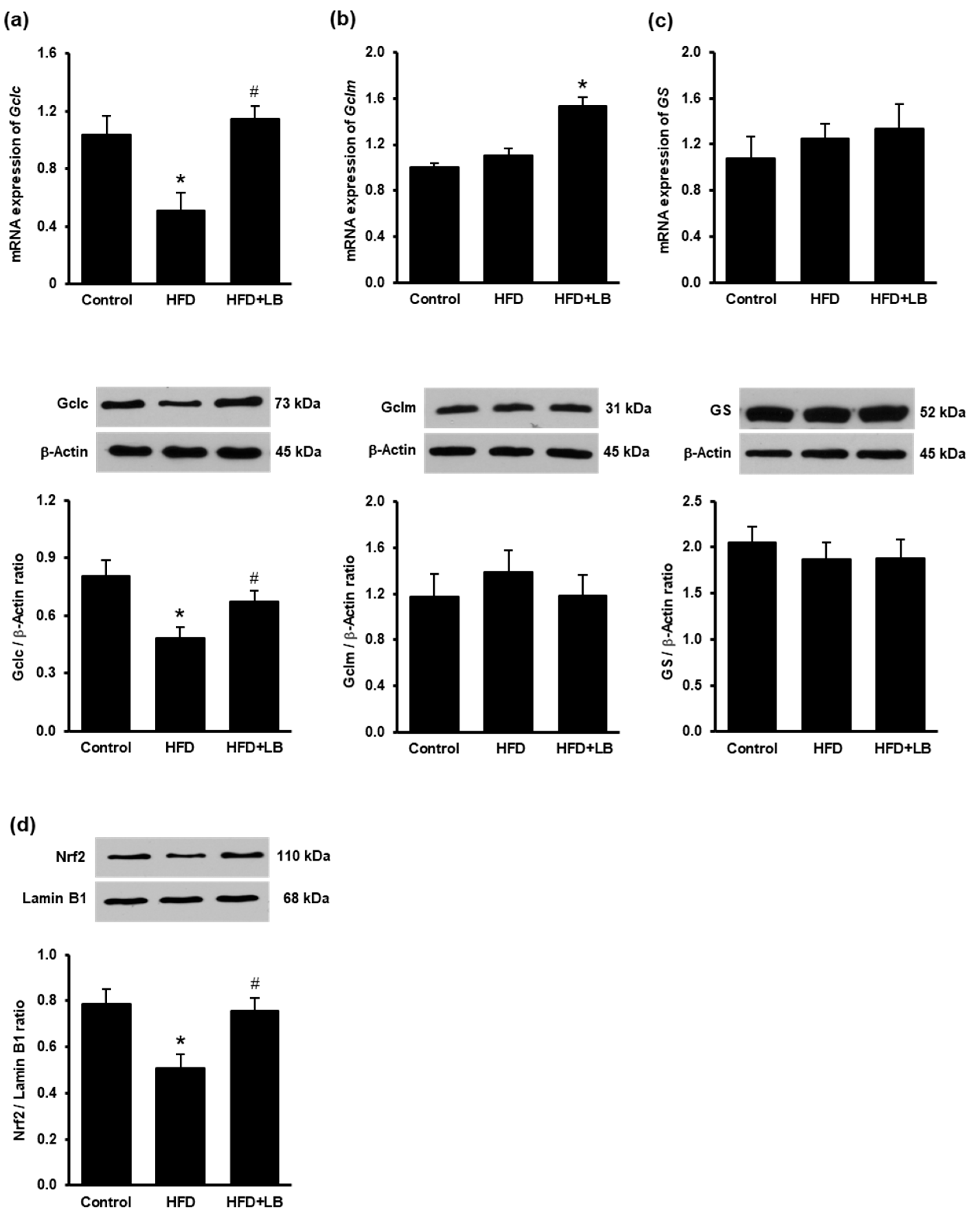 Antioxidants 10 00565 g005 Antioxidants 10 00565 g005
