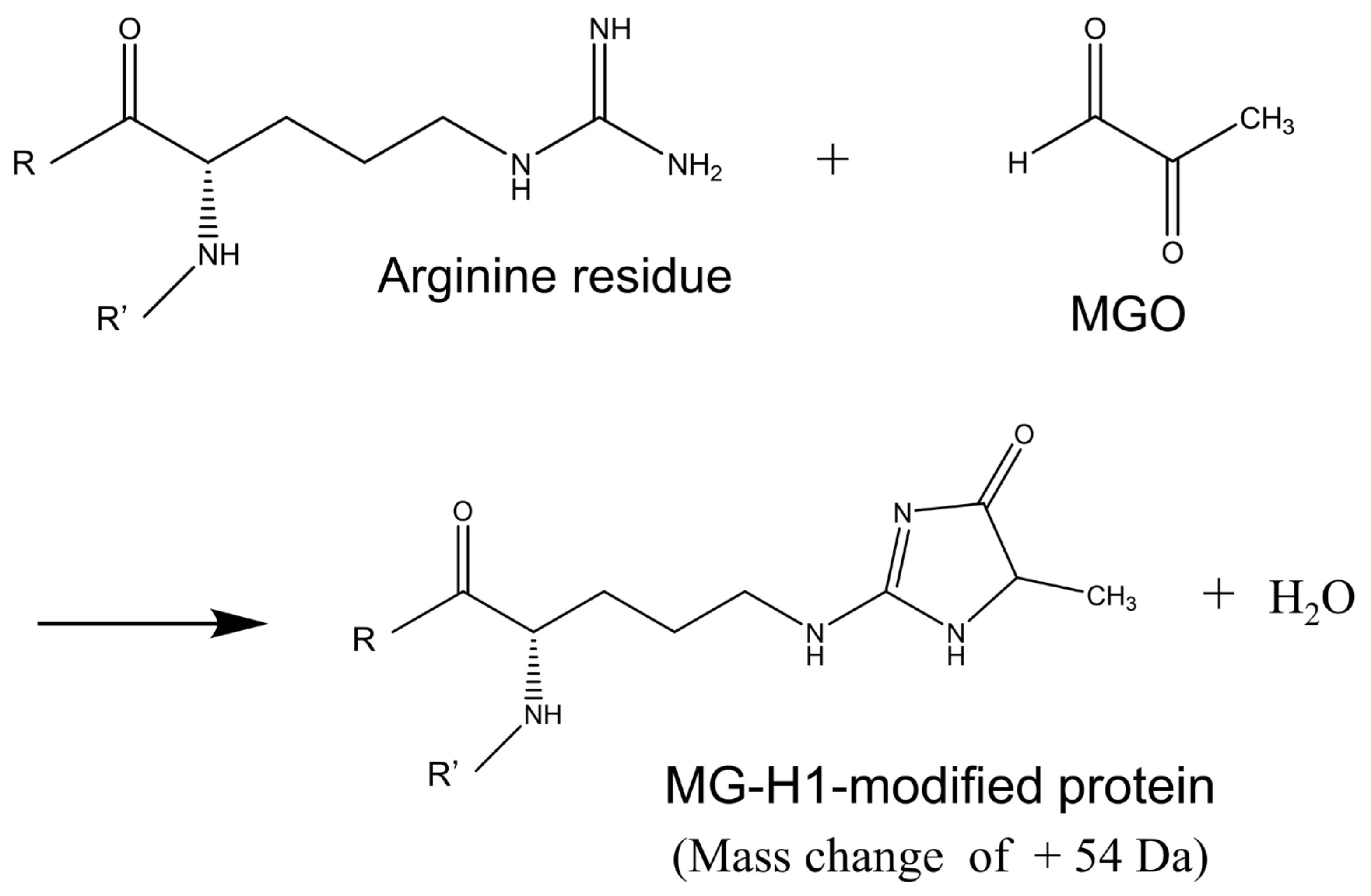 Antioxidants 10 00574 g003