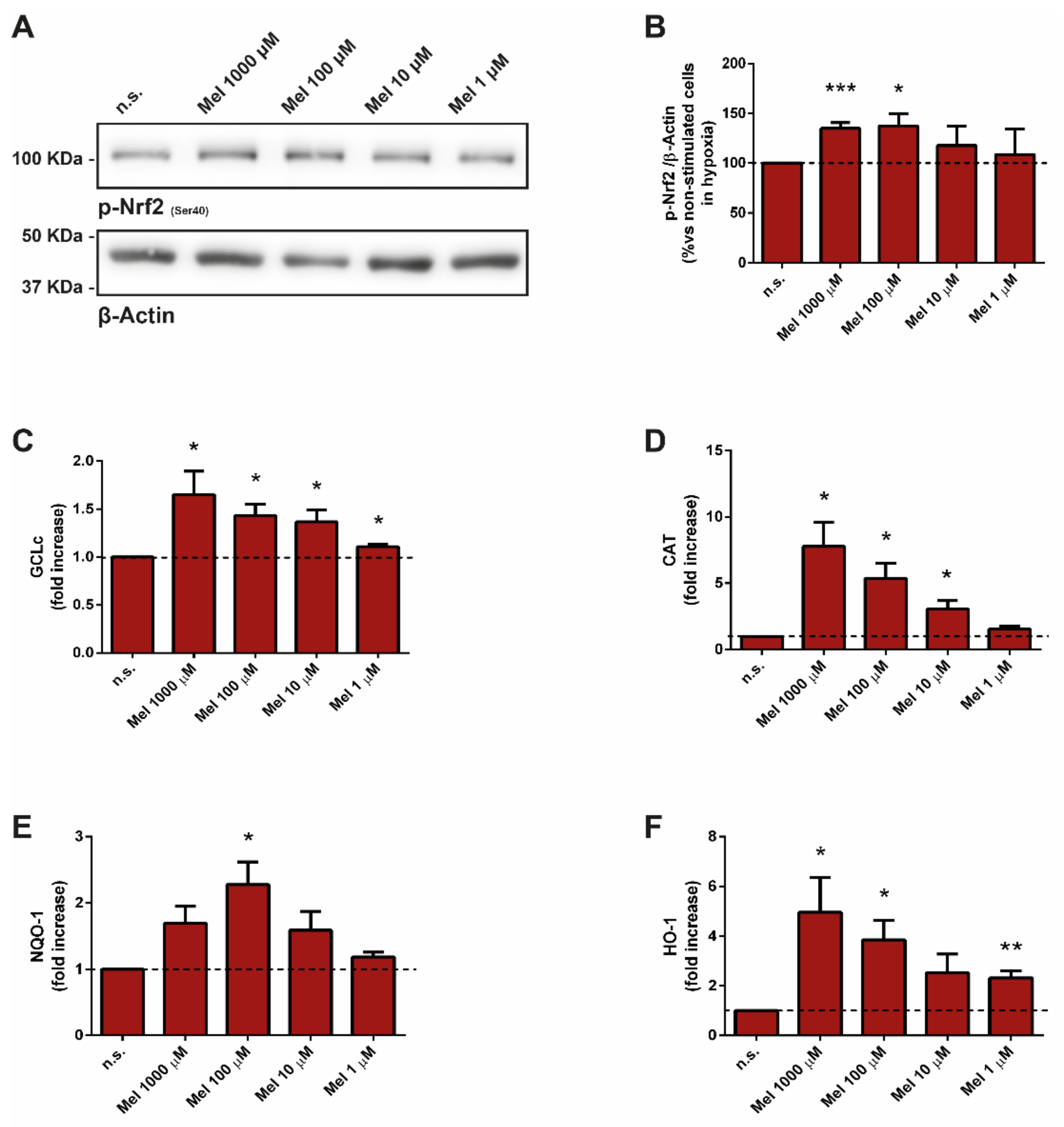 Antioxidants 10 00577 g002 Antioxidants 10 00577 g002
