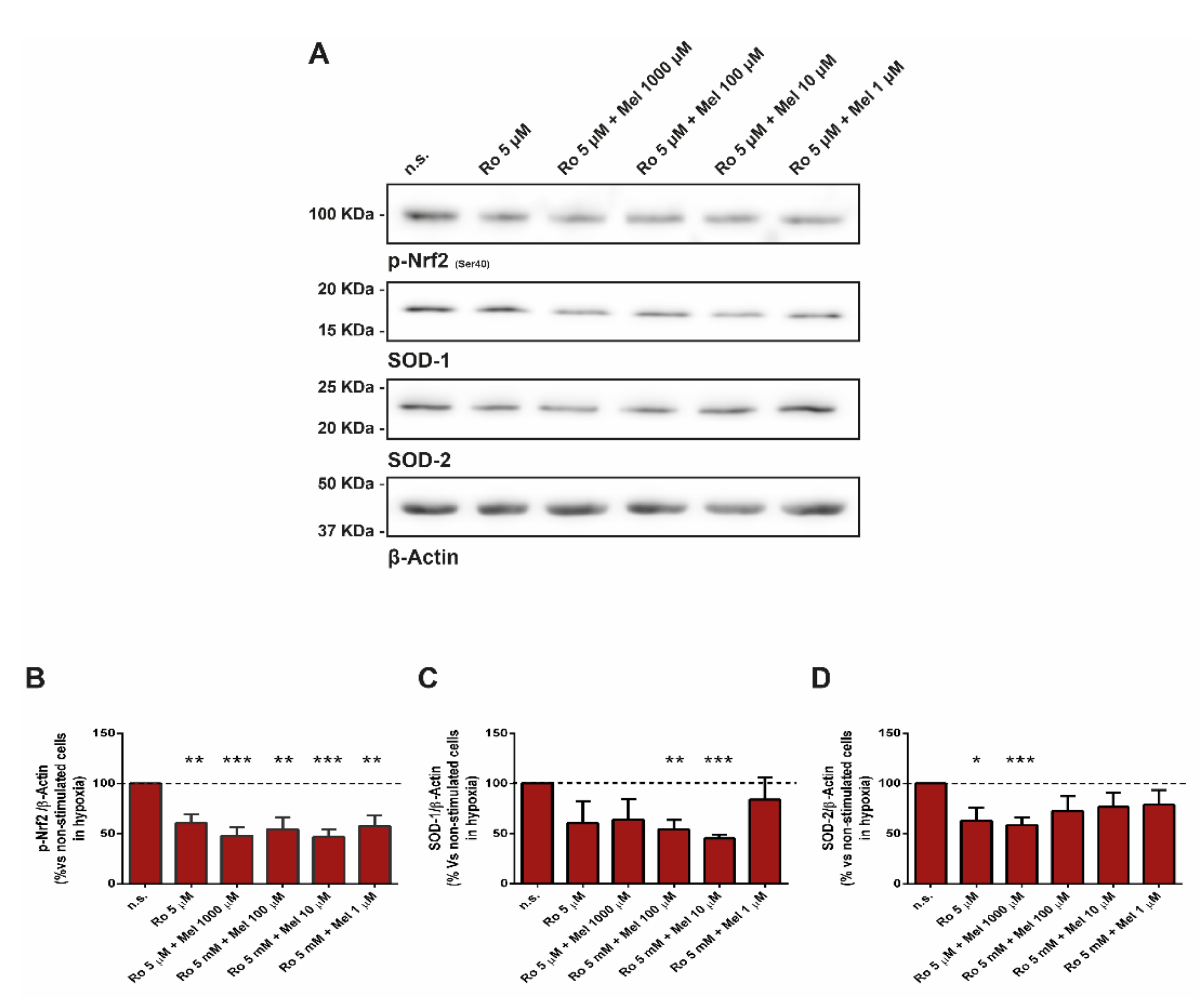Antioxidants 10 00577 g005 Antioxidants 10 00577 g005