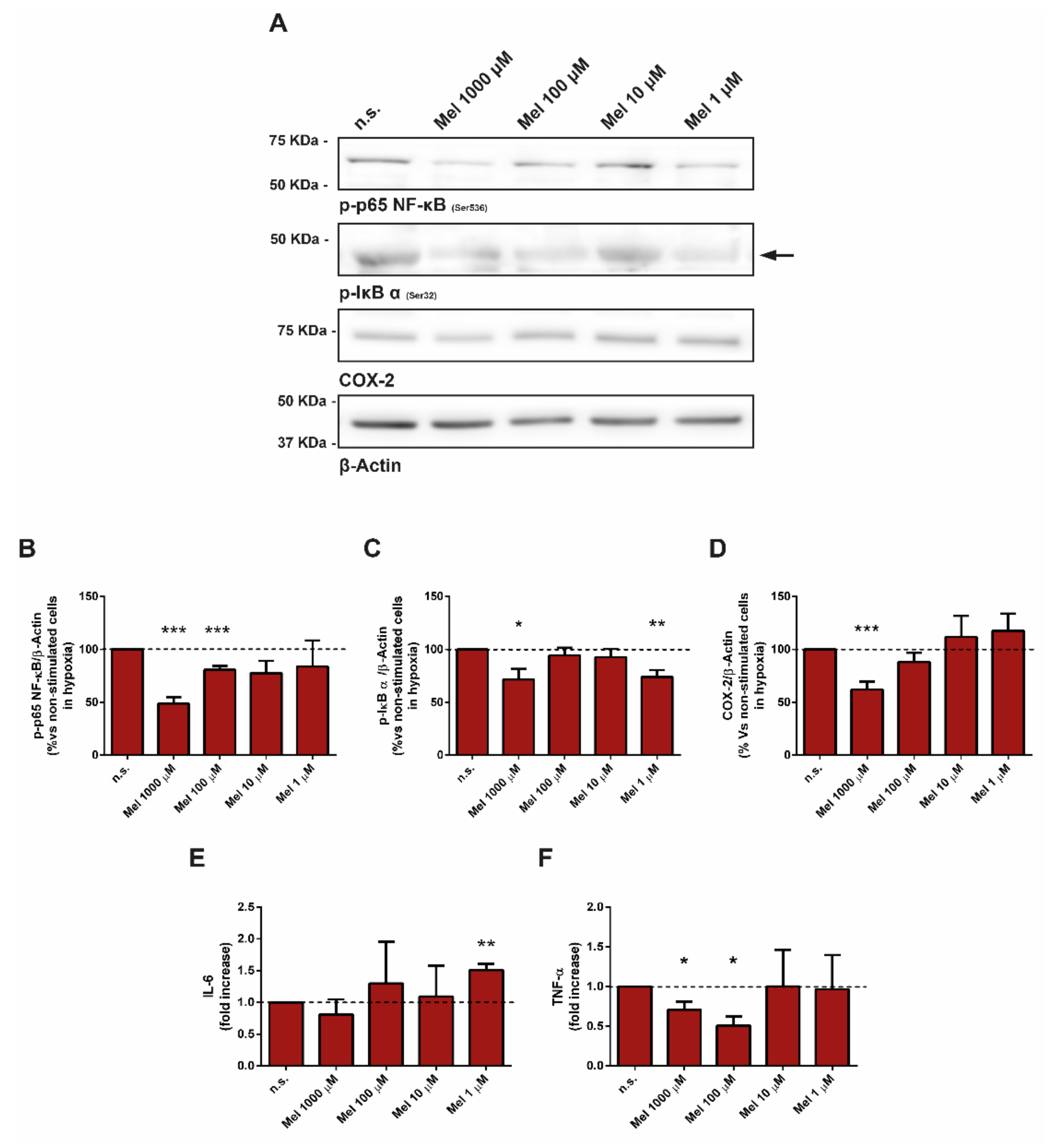 Antioxidants 10 00577 g007 Antioxidants 10 00577 g007