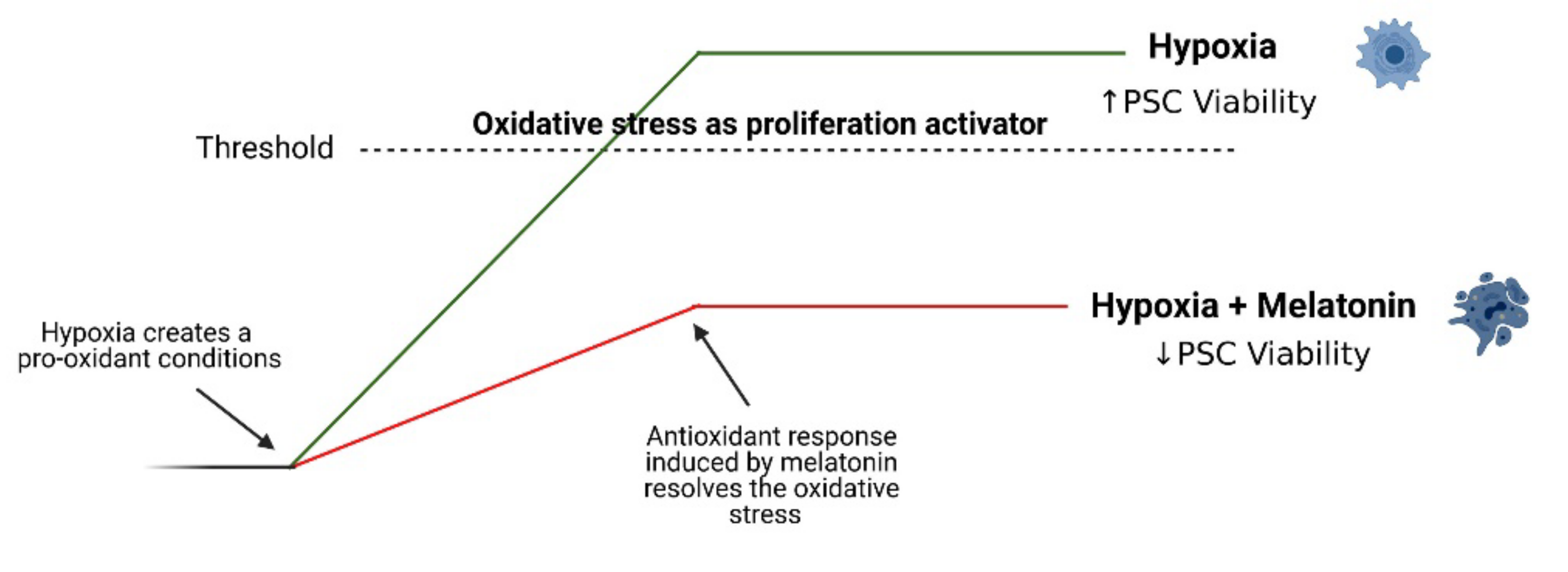 Antioxidants 10 00577 g008 Antioxidants 10 00577 g008