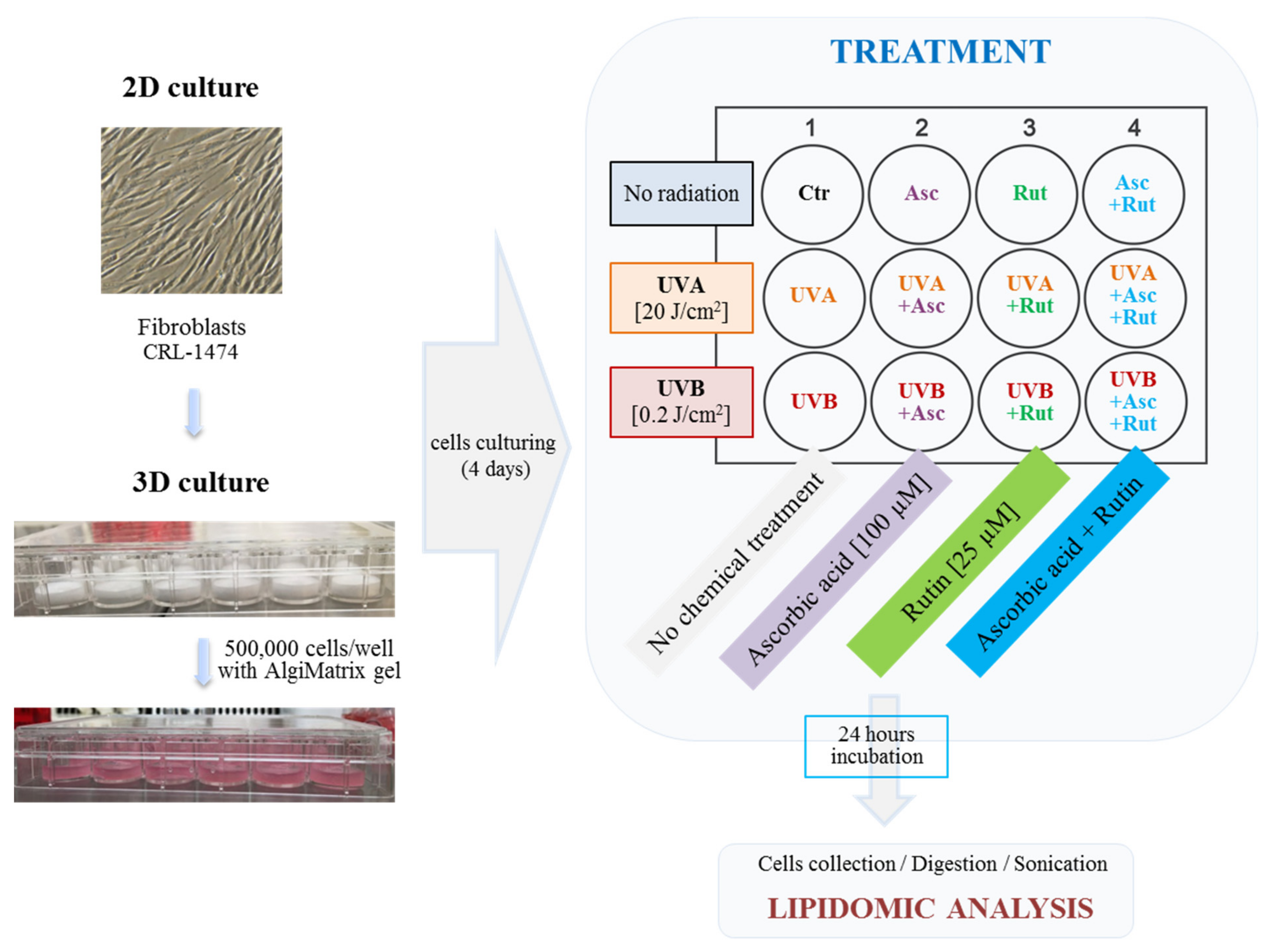 Antioxidants 10 00578 g002 Antioxidants 10 00578 g002