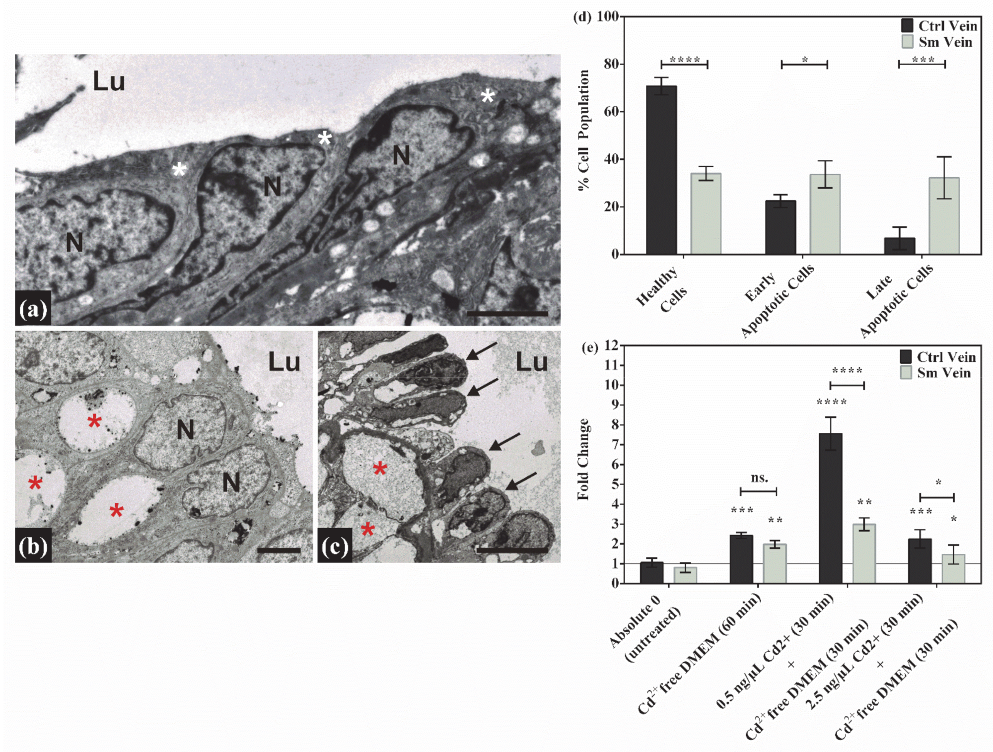 Antioxidants 10 00583 g001