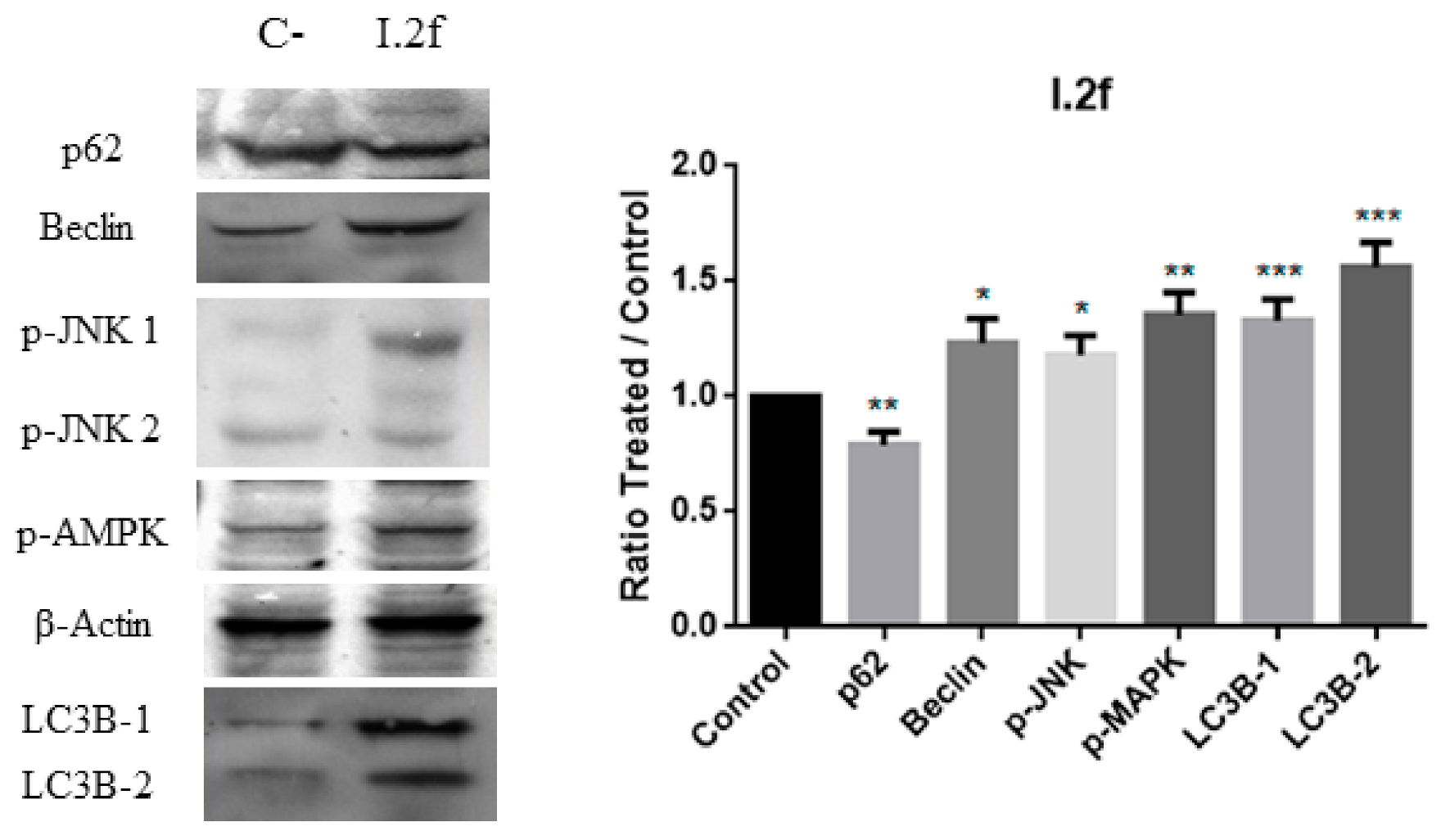 Antioxidants 10 00590 g011 Antioxidants 10 00590 g011