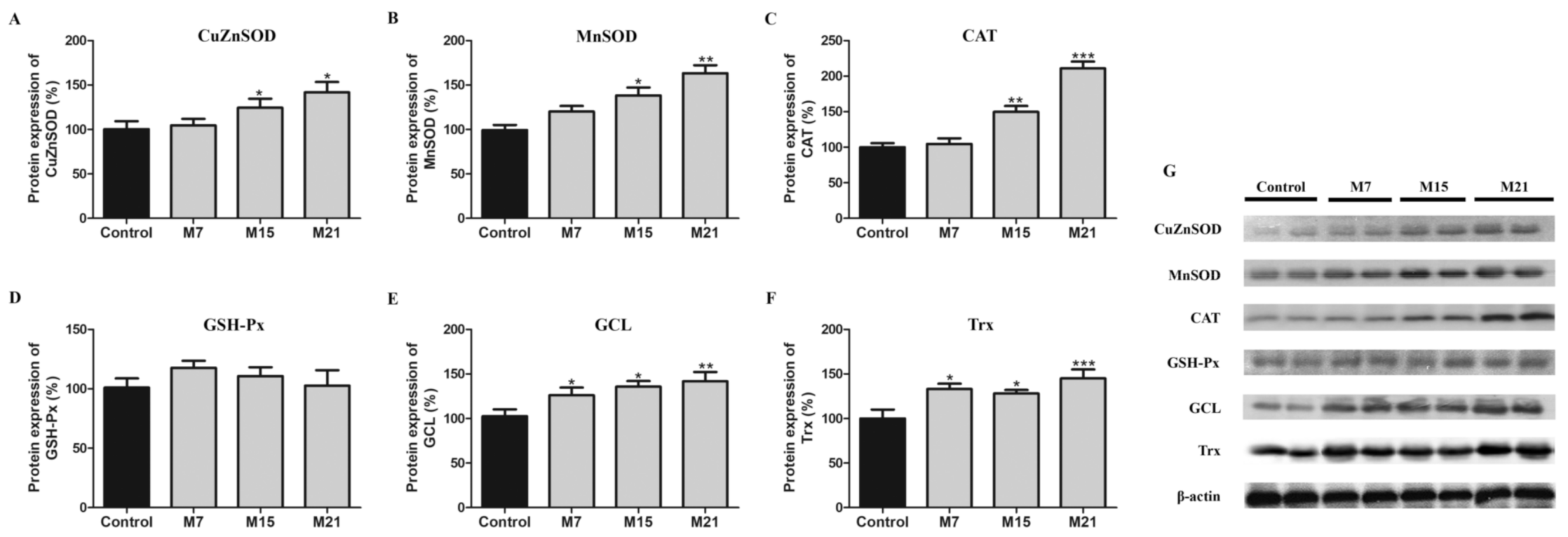 Antioxidants 10 00591 g001 Antioxidants 10 00591 g001