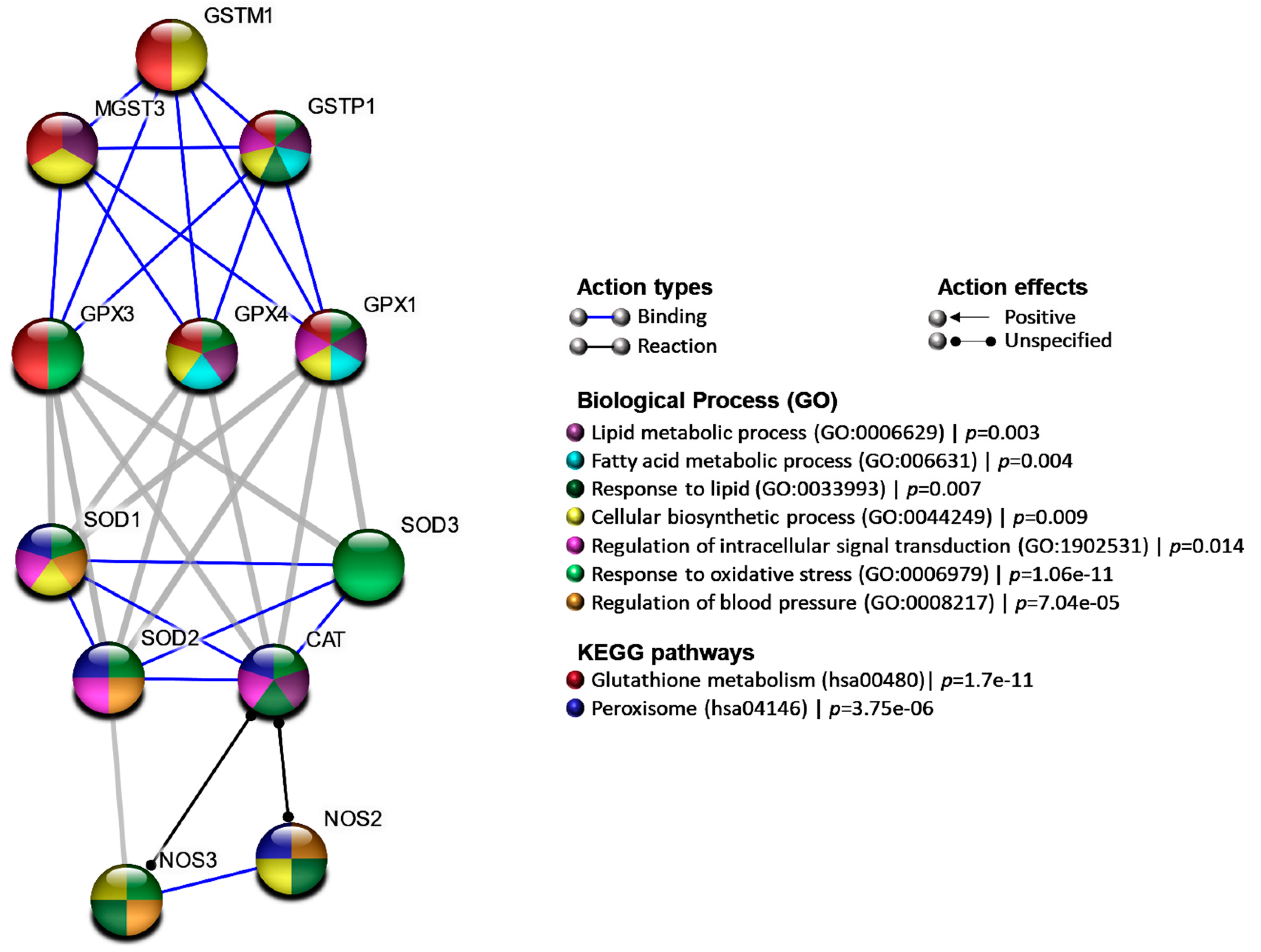 Antioxidants-Related Superoxide Dismutase (SOD), Catalase
