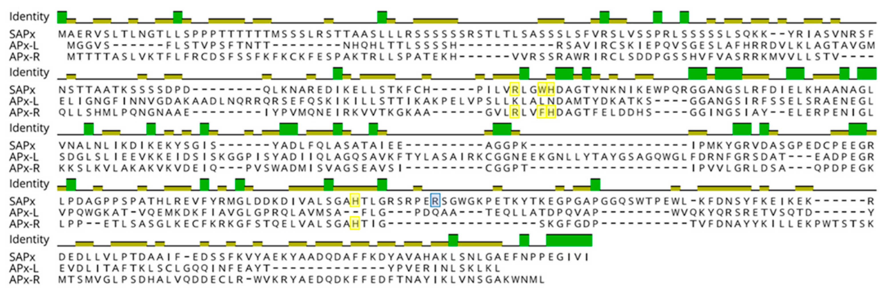 Antioxidants 10 00597 g002