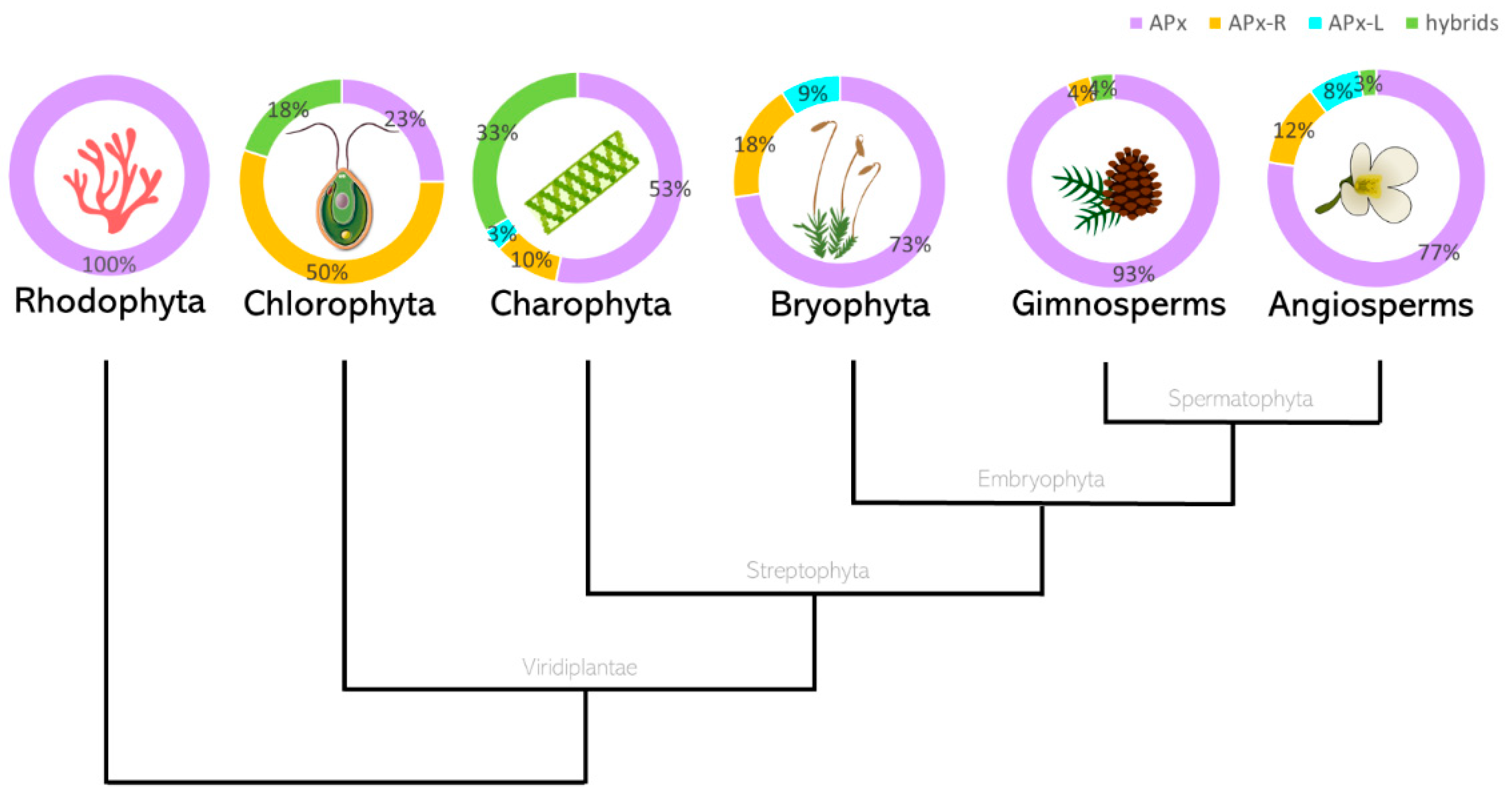 Antioxidants 10 00597 g003