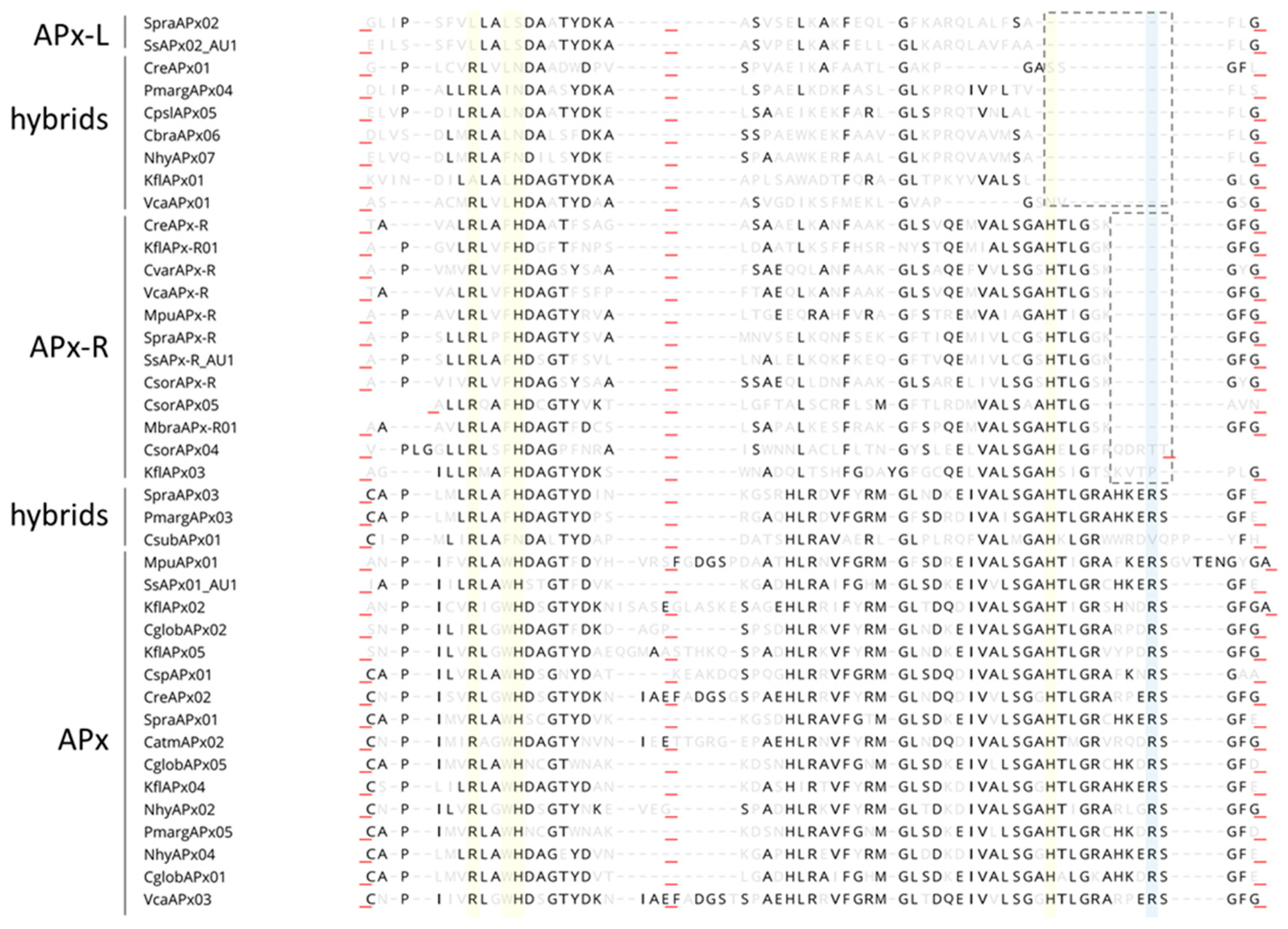 Antioxidants 10 00597 g006