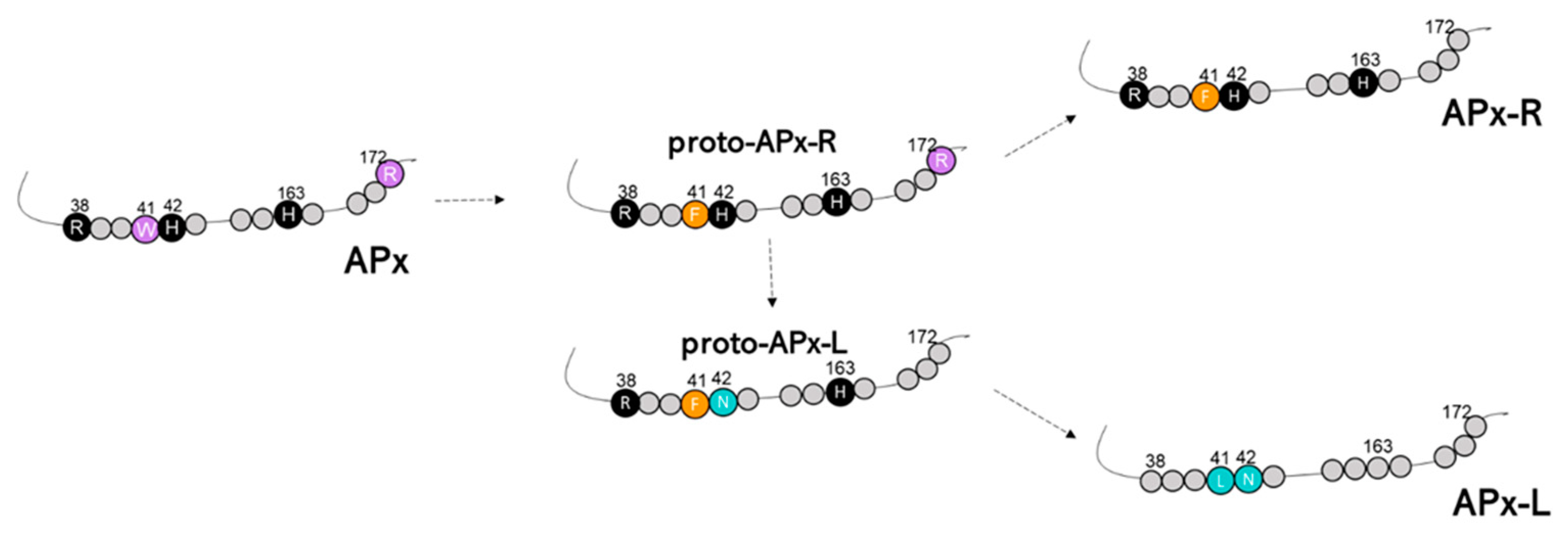 Antioxidants 10 00597 g007