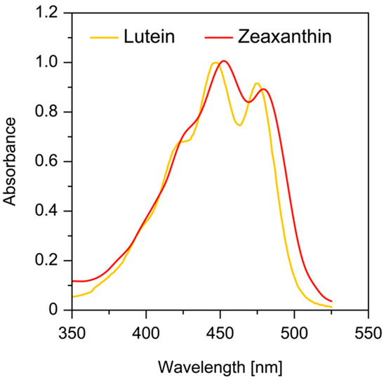Antioxidants Free FullText Factors Differentiating the Antioxidant