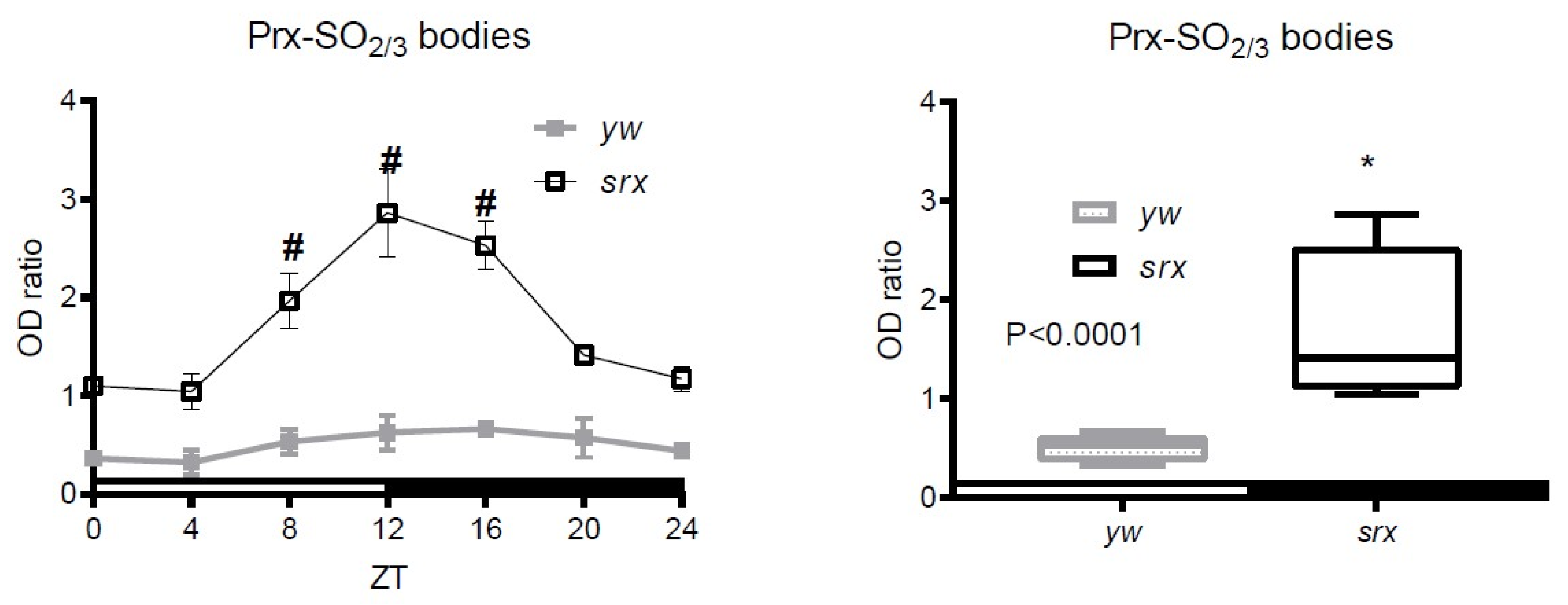 Antioxidants 10 00606 g004 Antioxidants 10 00606 g004