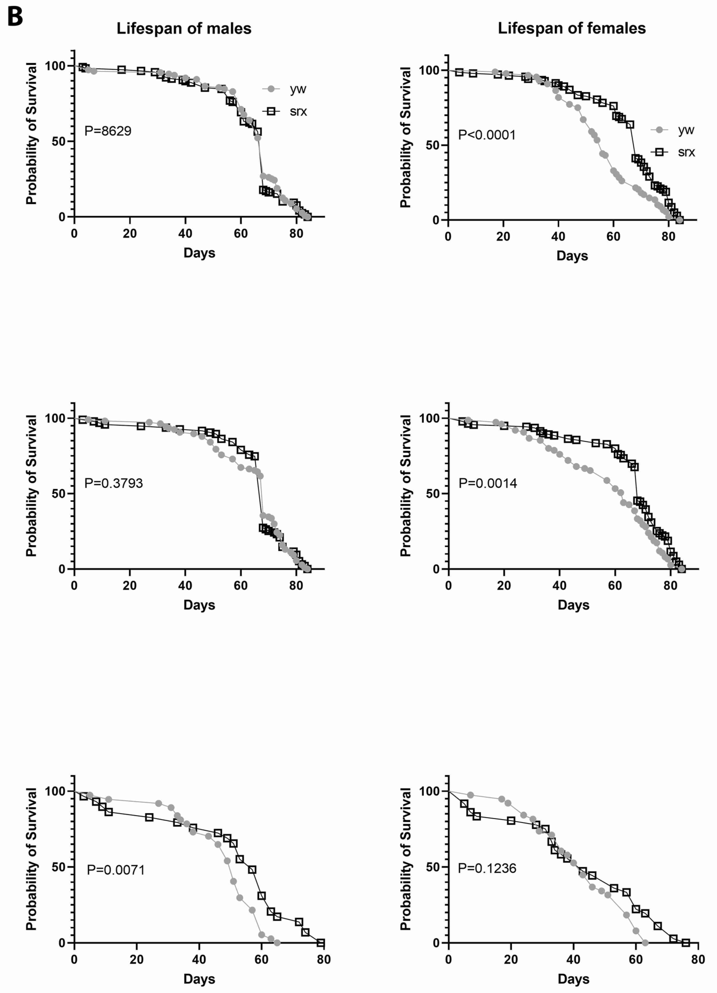 Antioxidants 10 00606 g005b Antioxidants 10 00606 g005b