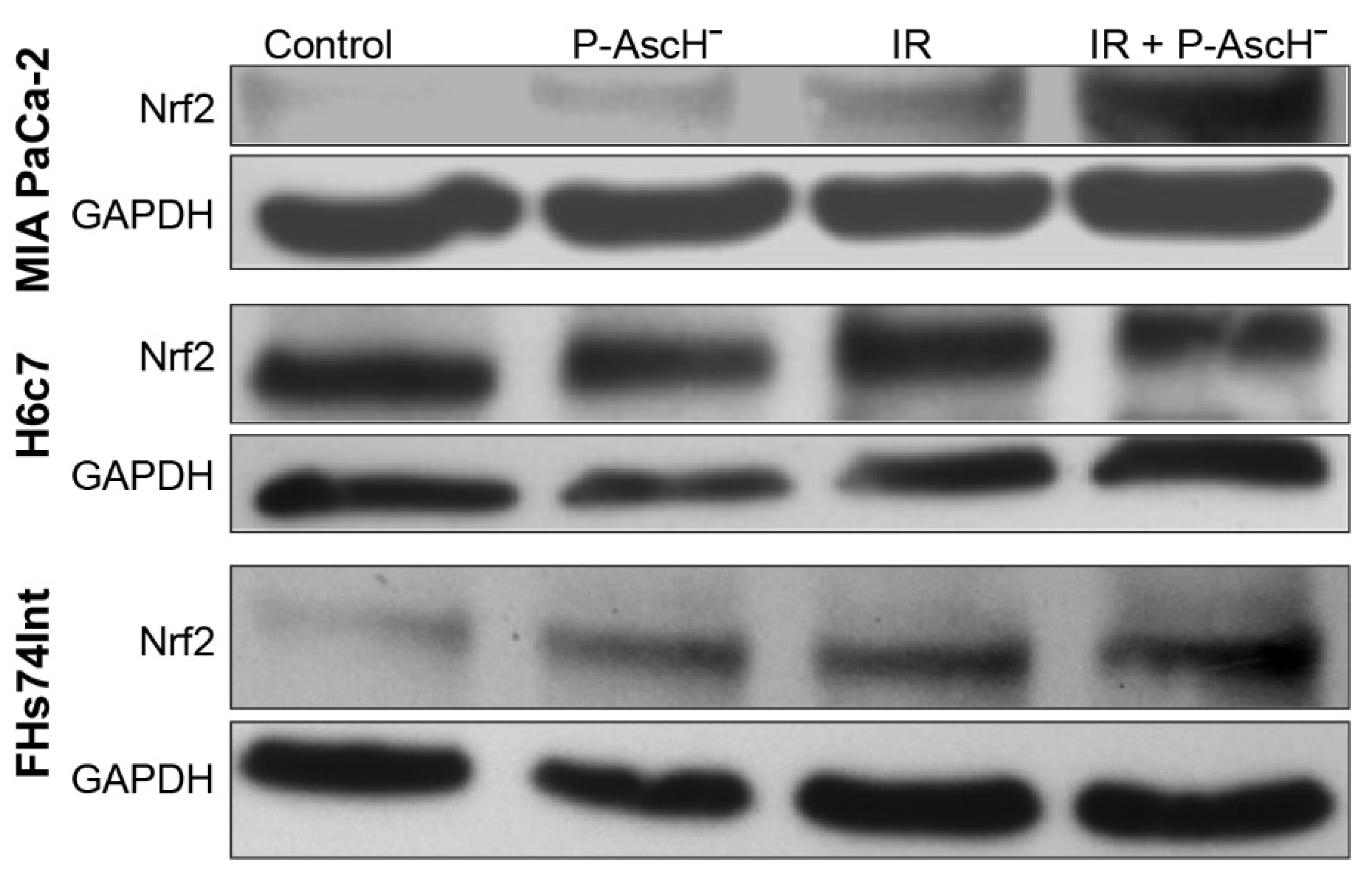 Antioxidants 10 00614 g001 Antioxidants 10 00614 g001