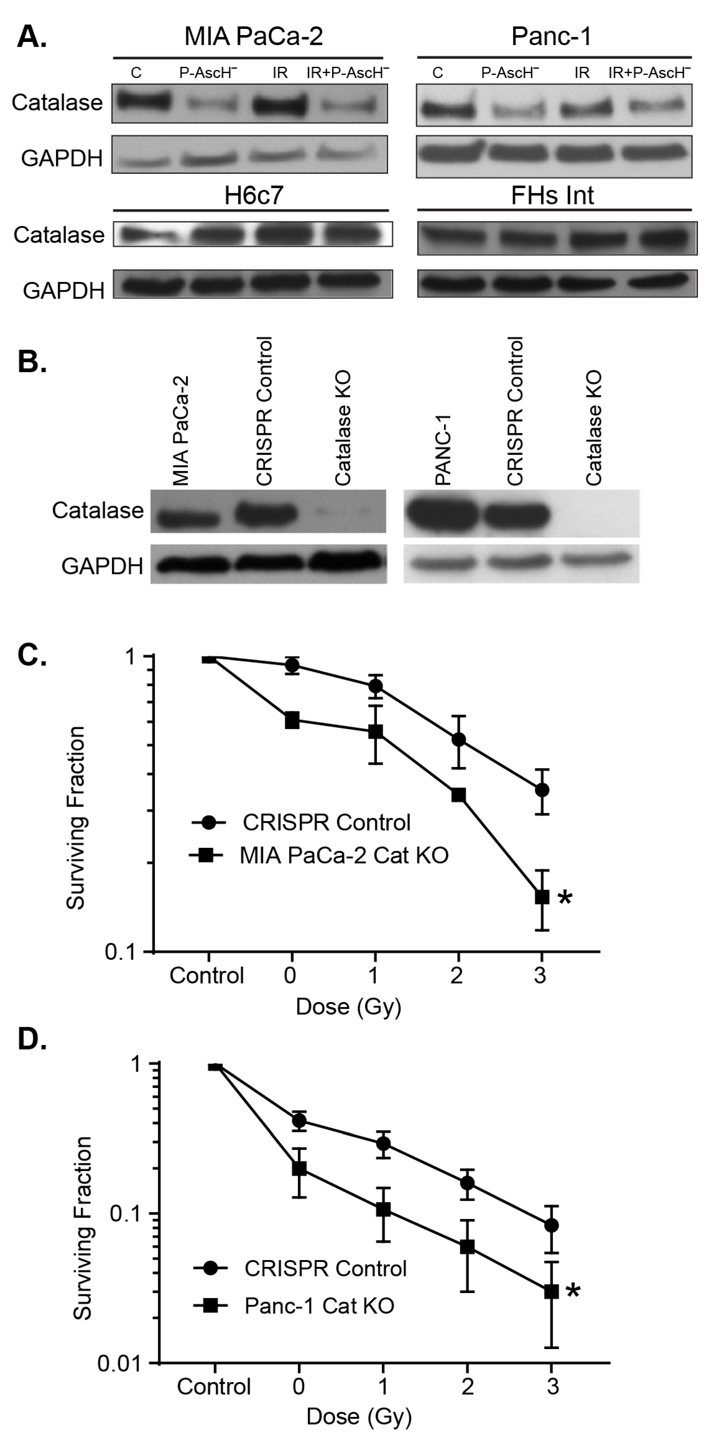 Antioxidants 10 00614 g004 Antioxidants 10 00614 g004