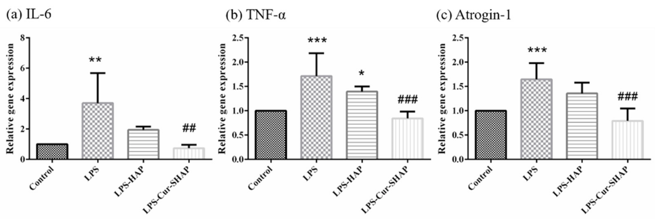 Antioxidants 10 00616 g008