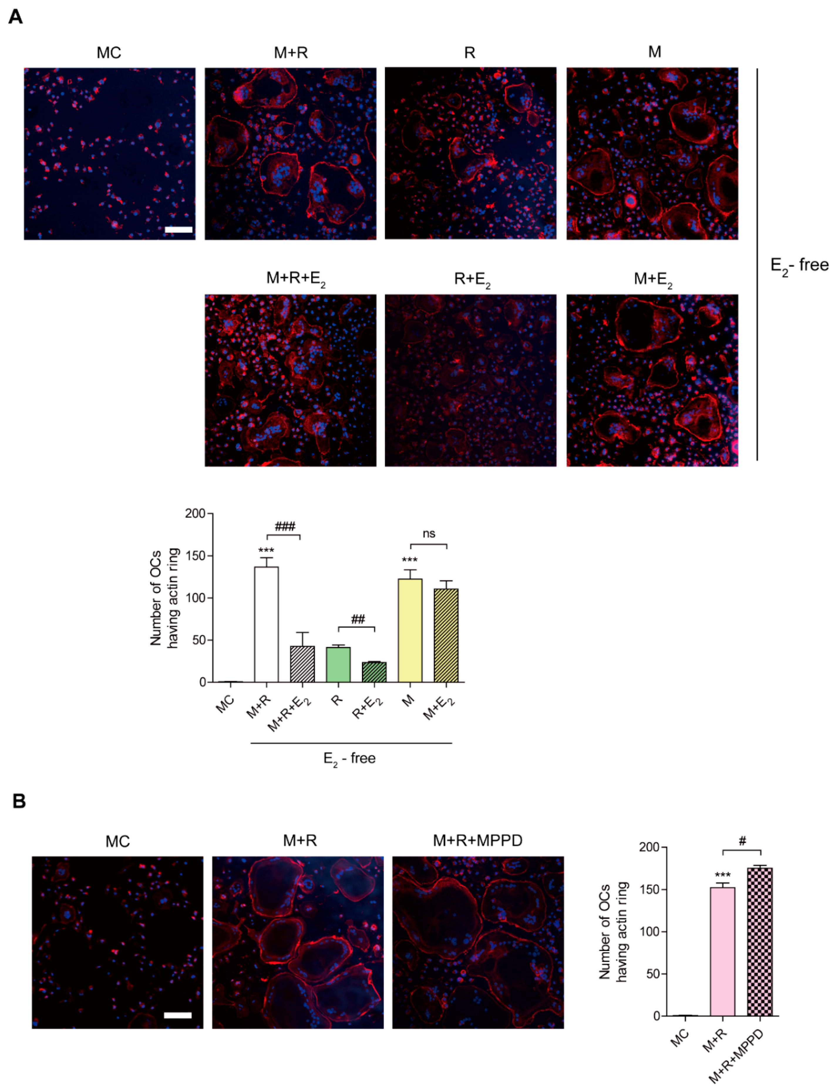 Antioxidants 10 00619 g003 Antioxidants 10 00619 g003