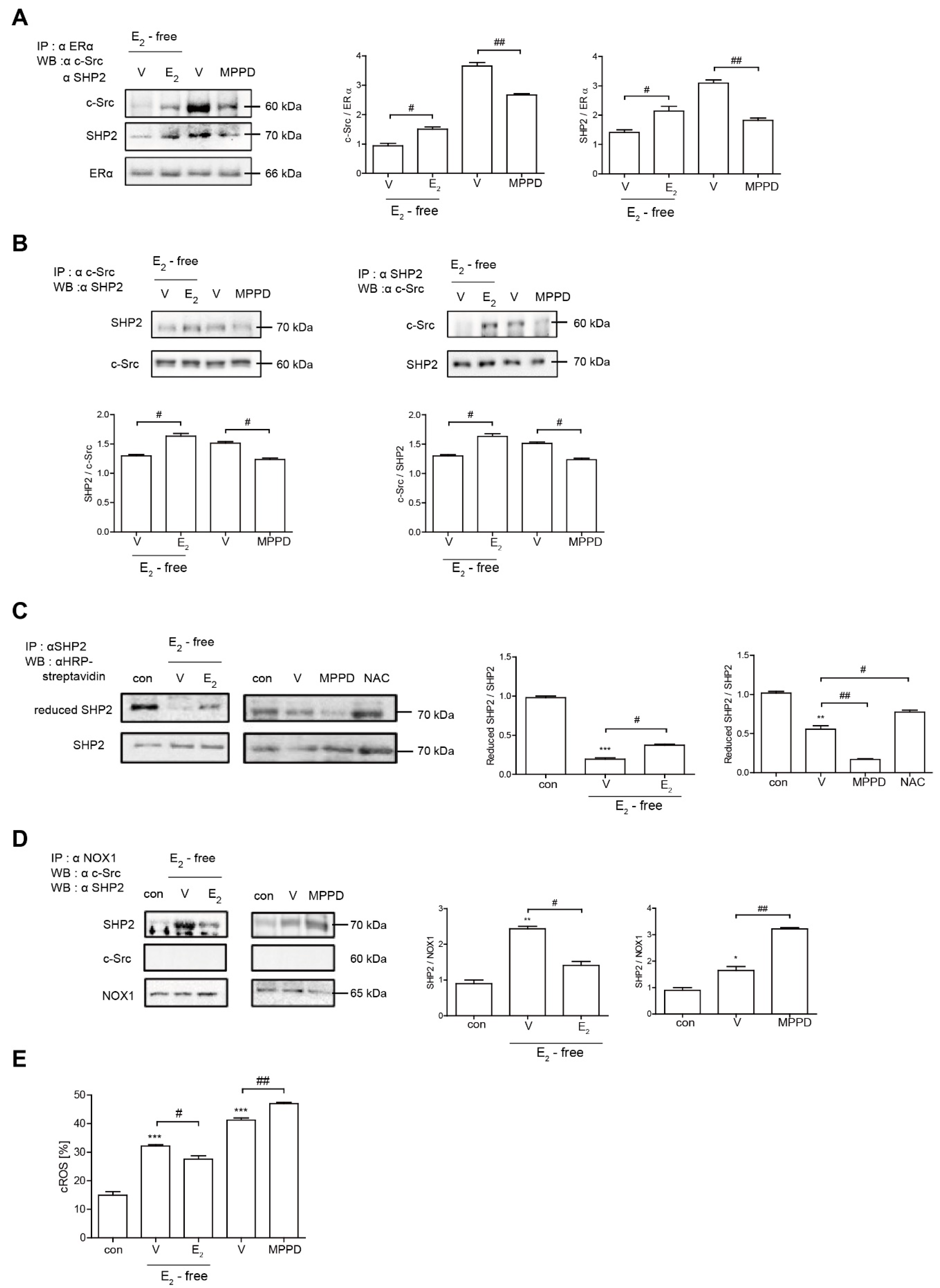 Antioxidants 10 00619 g005 Antioxidants 10 00619 g005