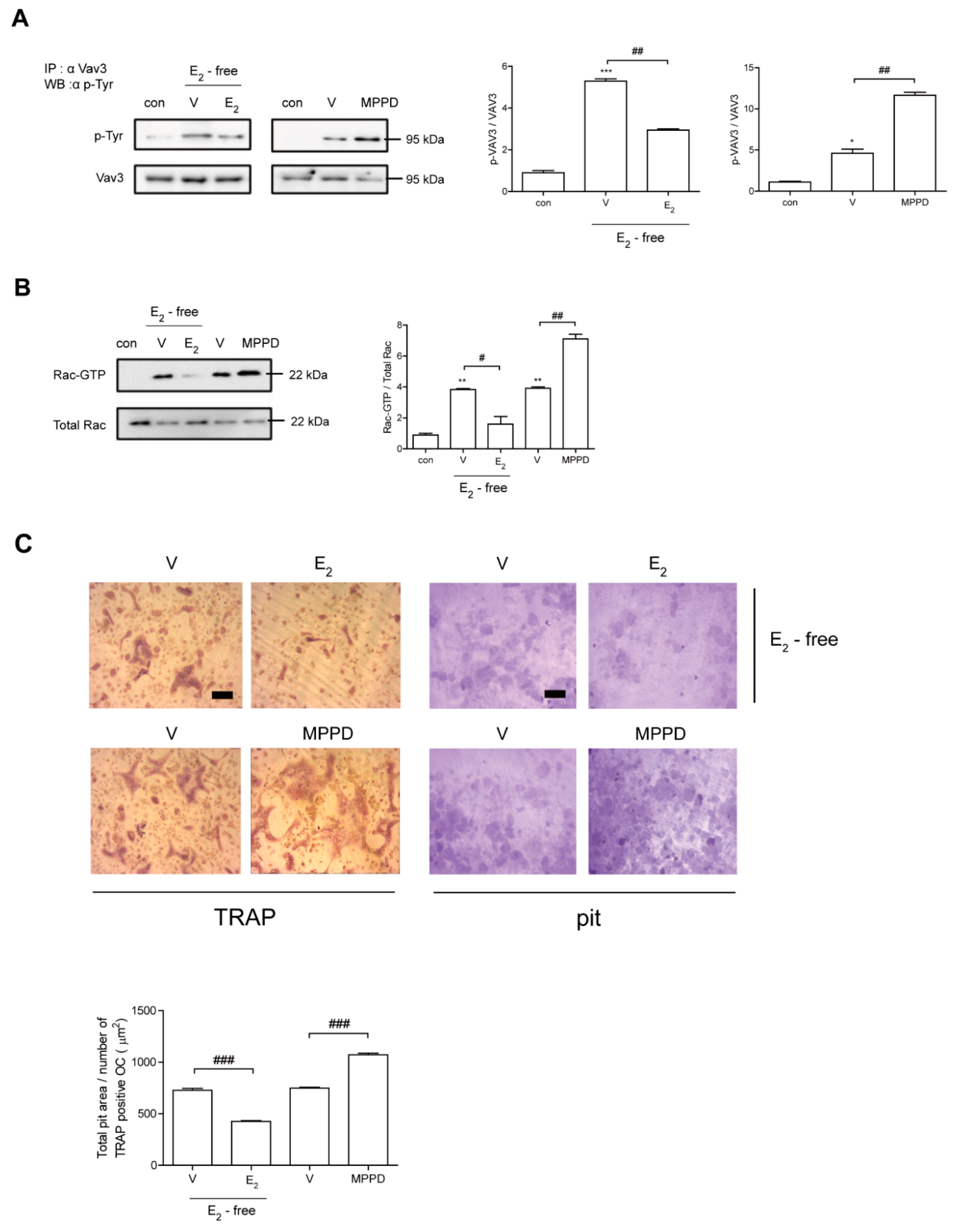 Antioxidants 10 00619 g006 Antioxidants 10 00619 g006