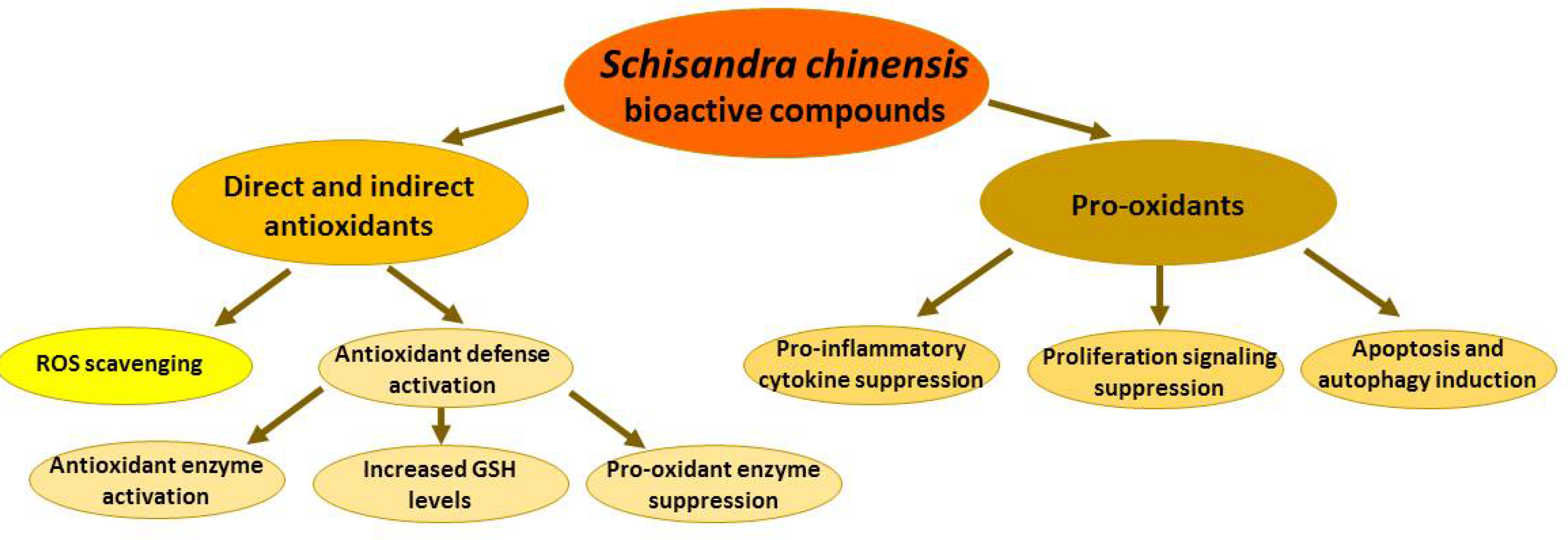 Antioxidants 10 00620 g003