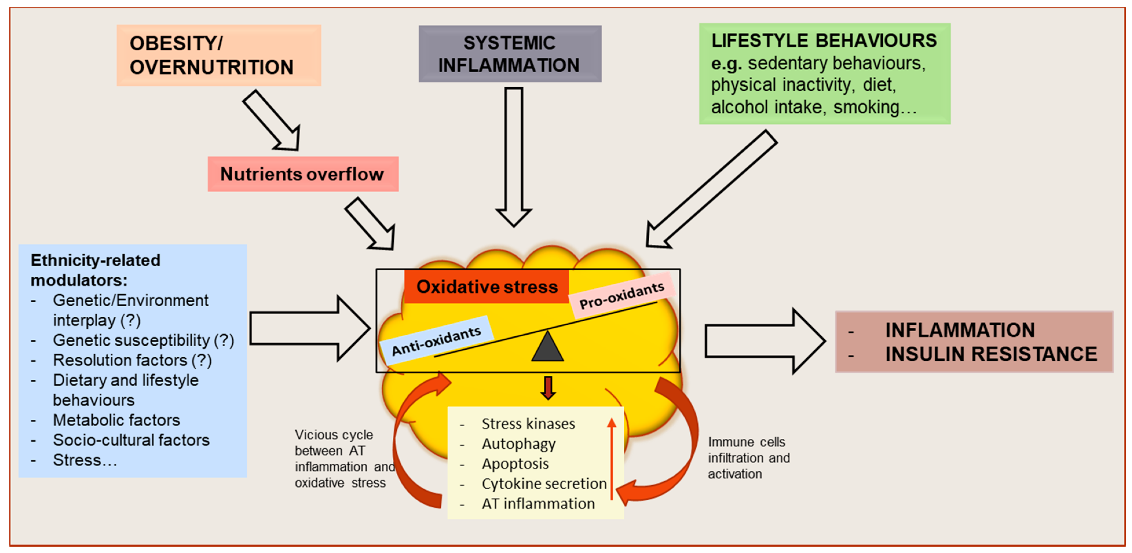 Antioxidants 10 00622 g001