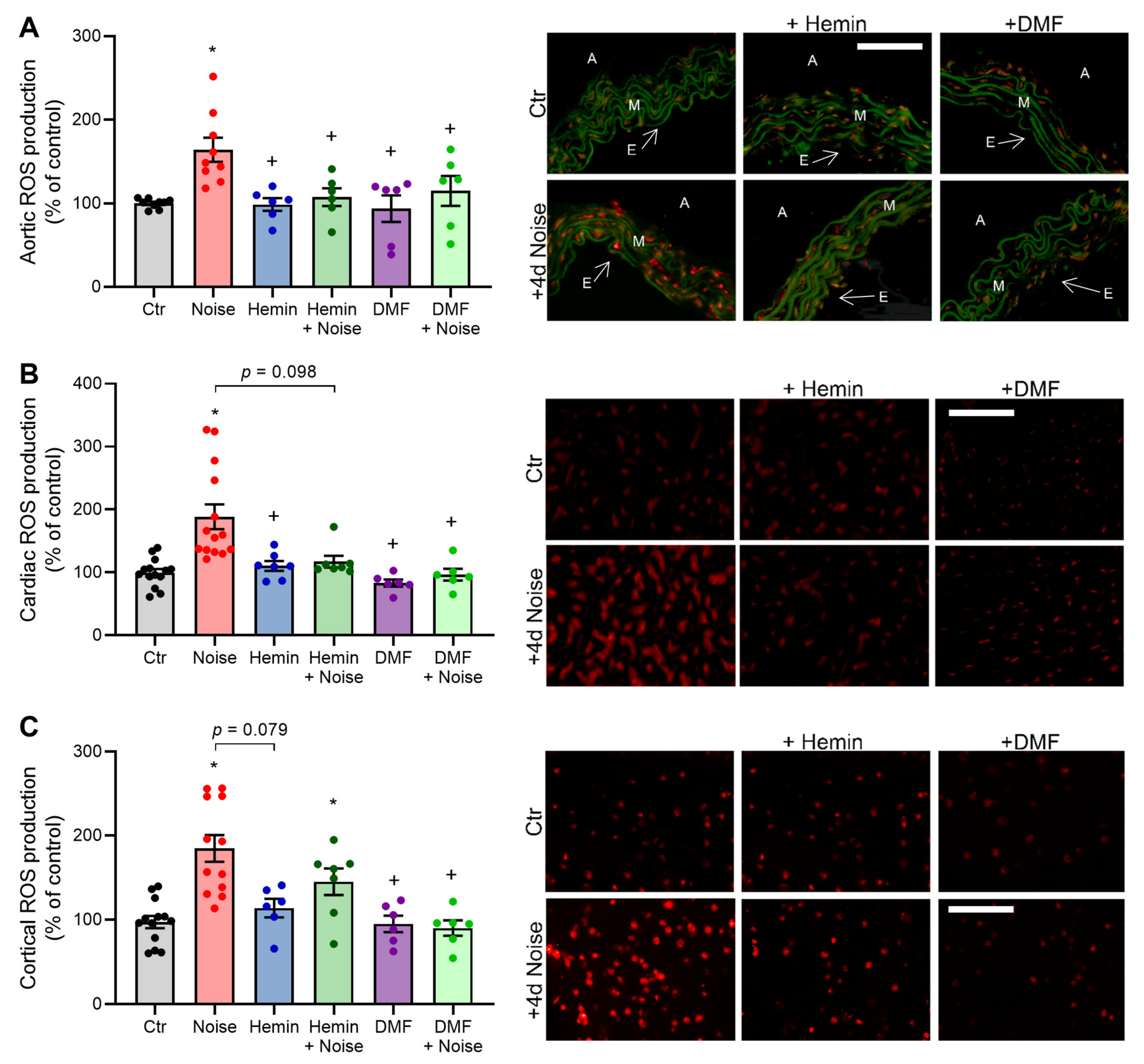 Antioxidants 10 00625 g006