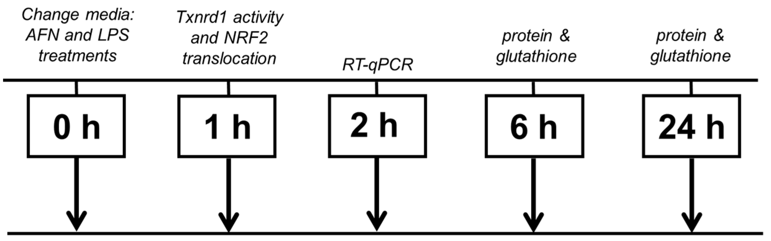 Antioxidants 10 00632 g001