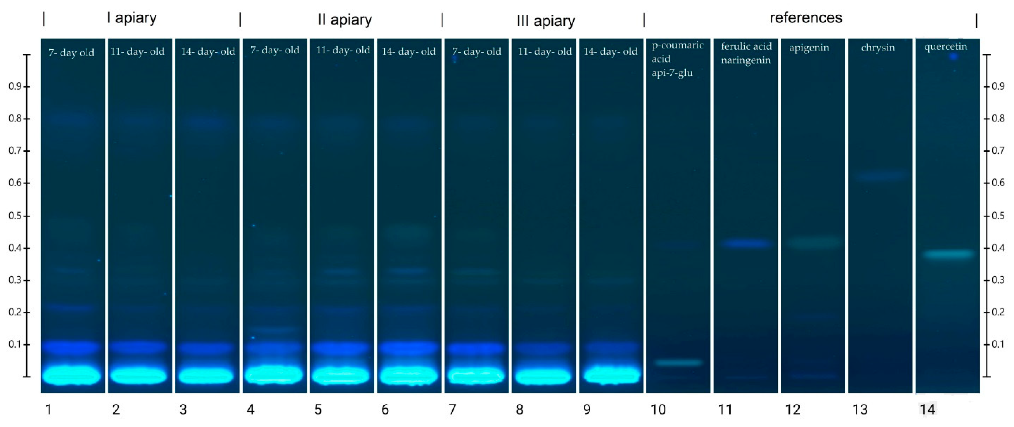 Antioxidants 10 00639 g004 Antioxidants 10 00639 g004