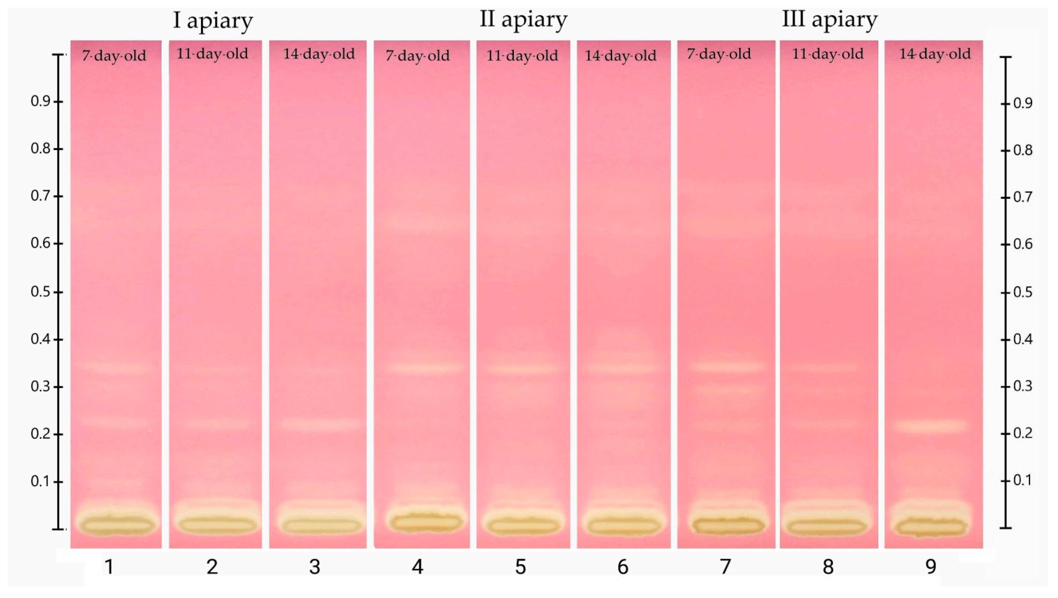 Antioxidants 10 00639 g005 Antioxidants 10 00639 g005