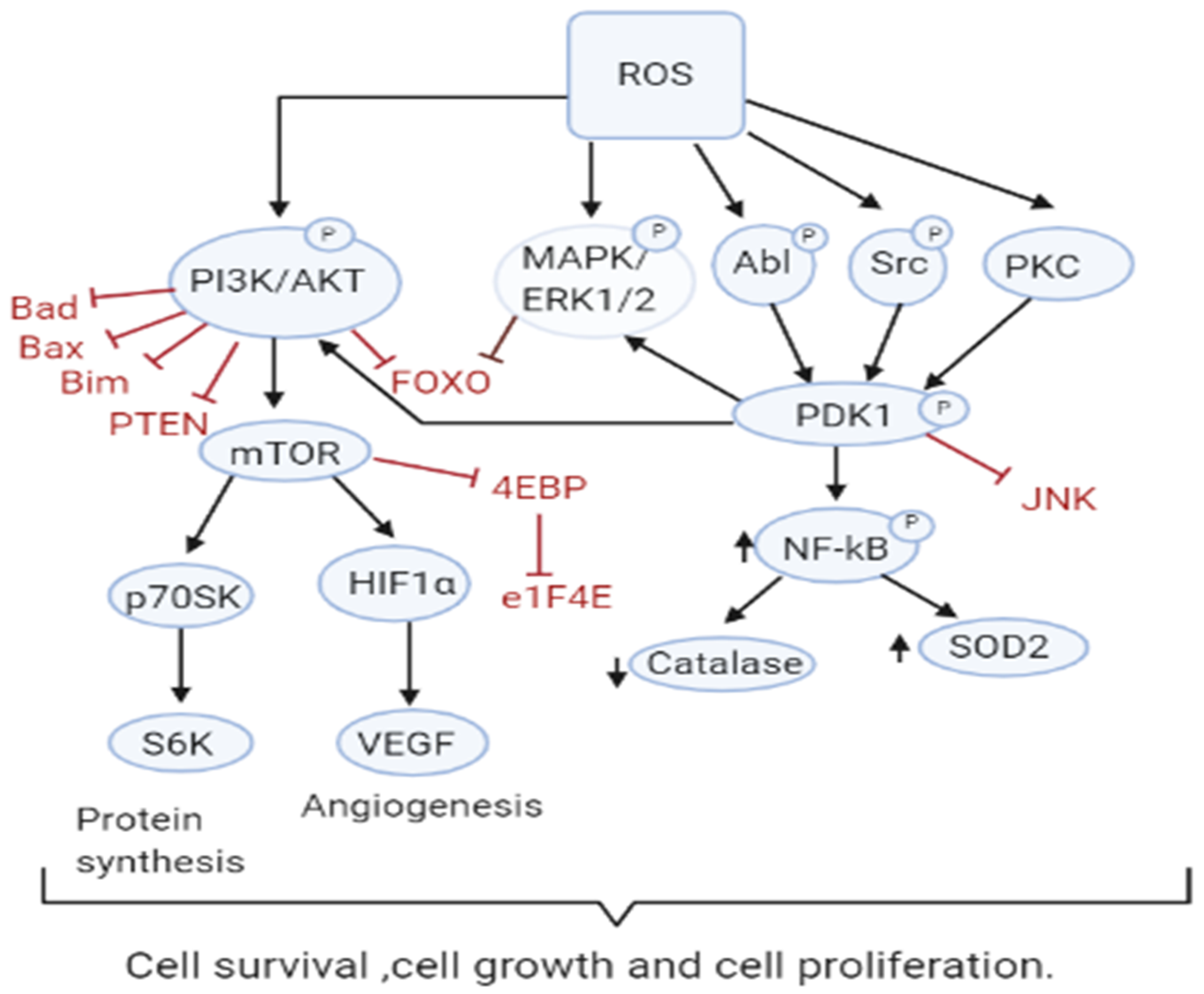 Antioxidants 10 00642 g002 Antioxidants 10 00642 g002