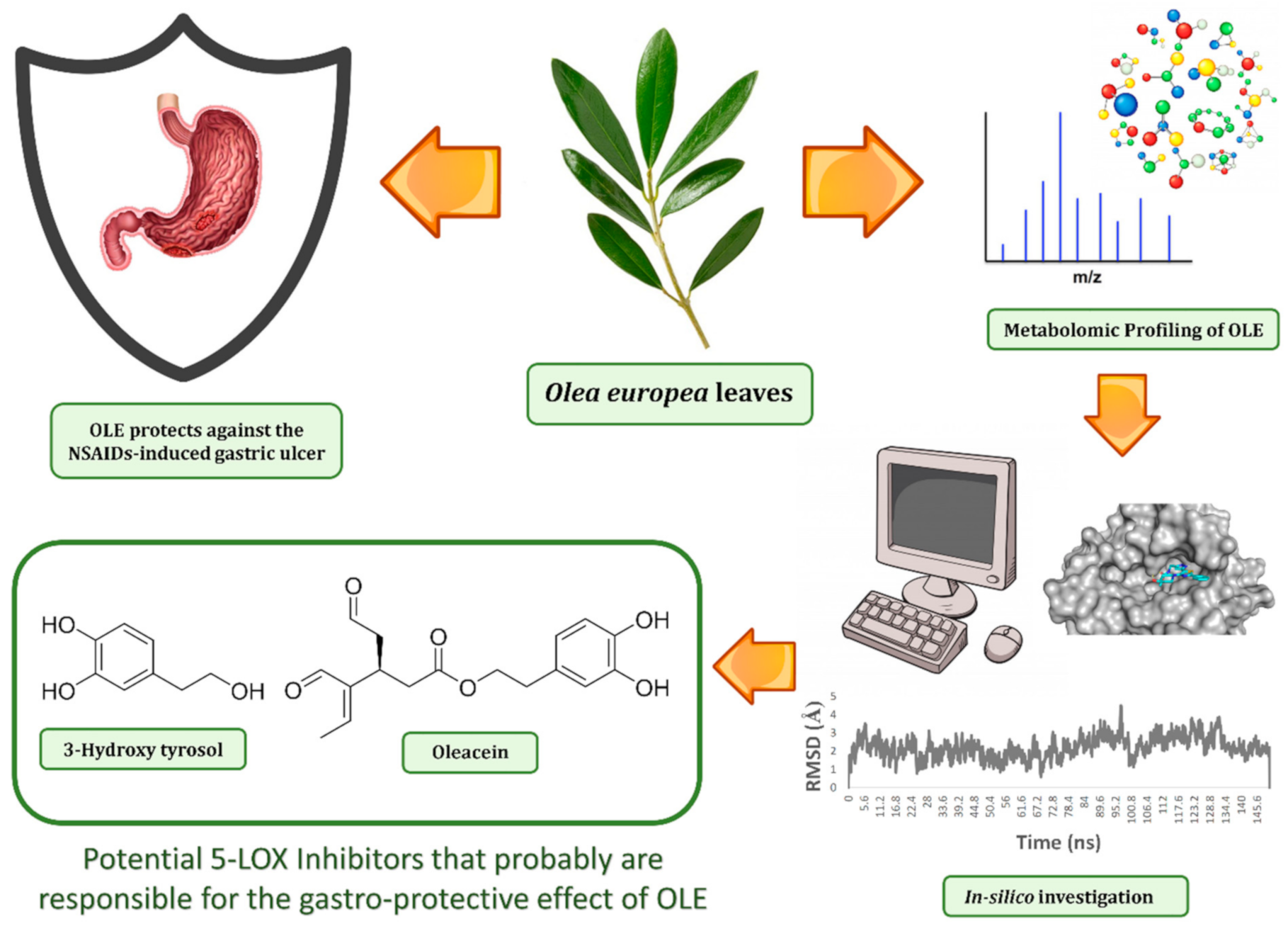 Antioxidants 10 00644 g001