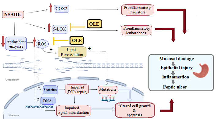 Antioxidants 10 00644 g008