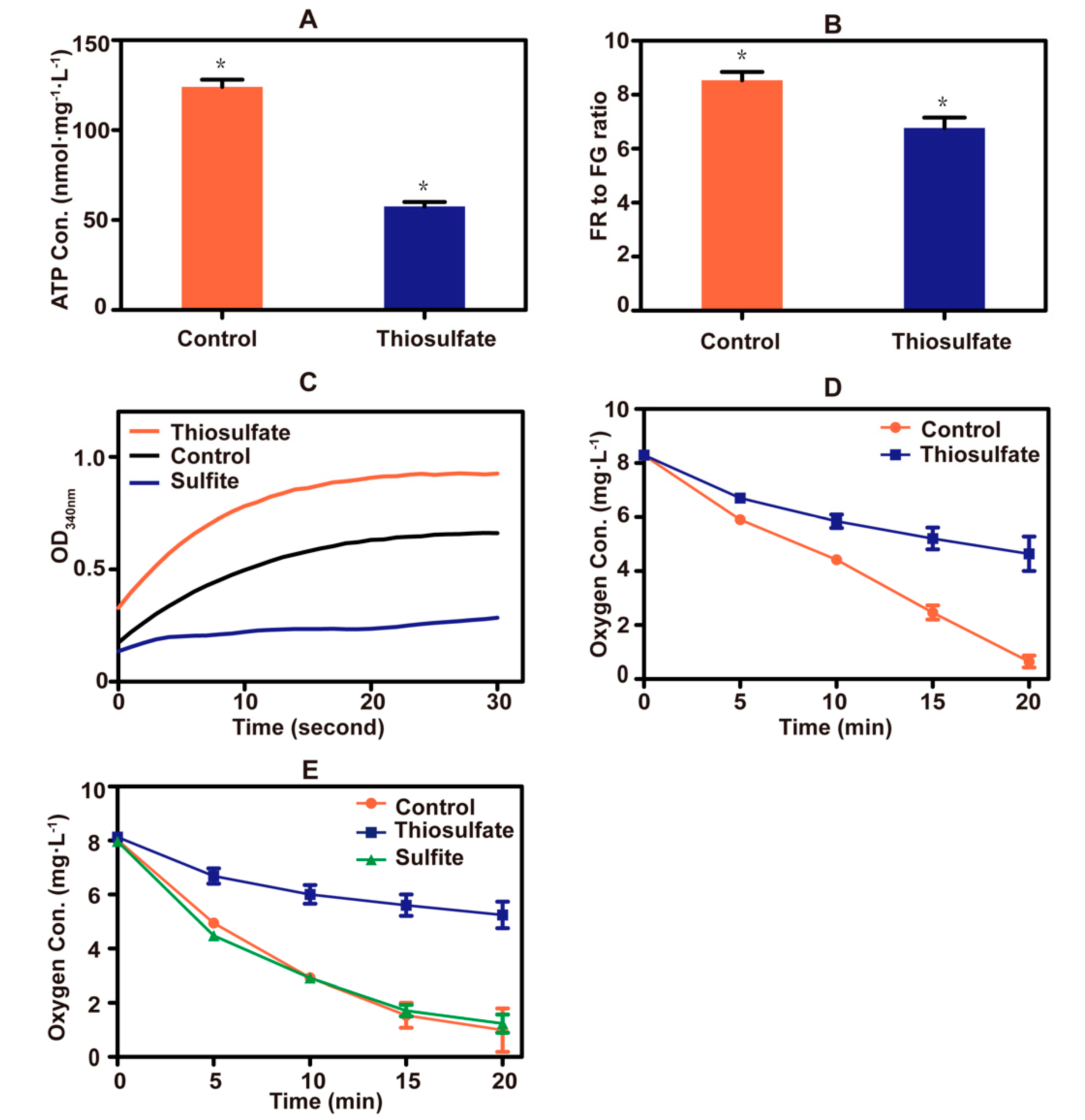 Antioxidants 10 00646 g005