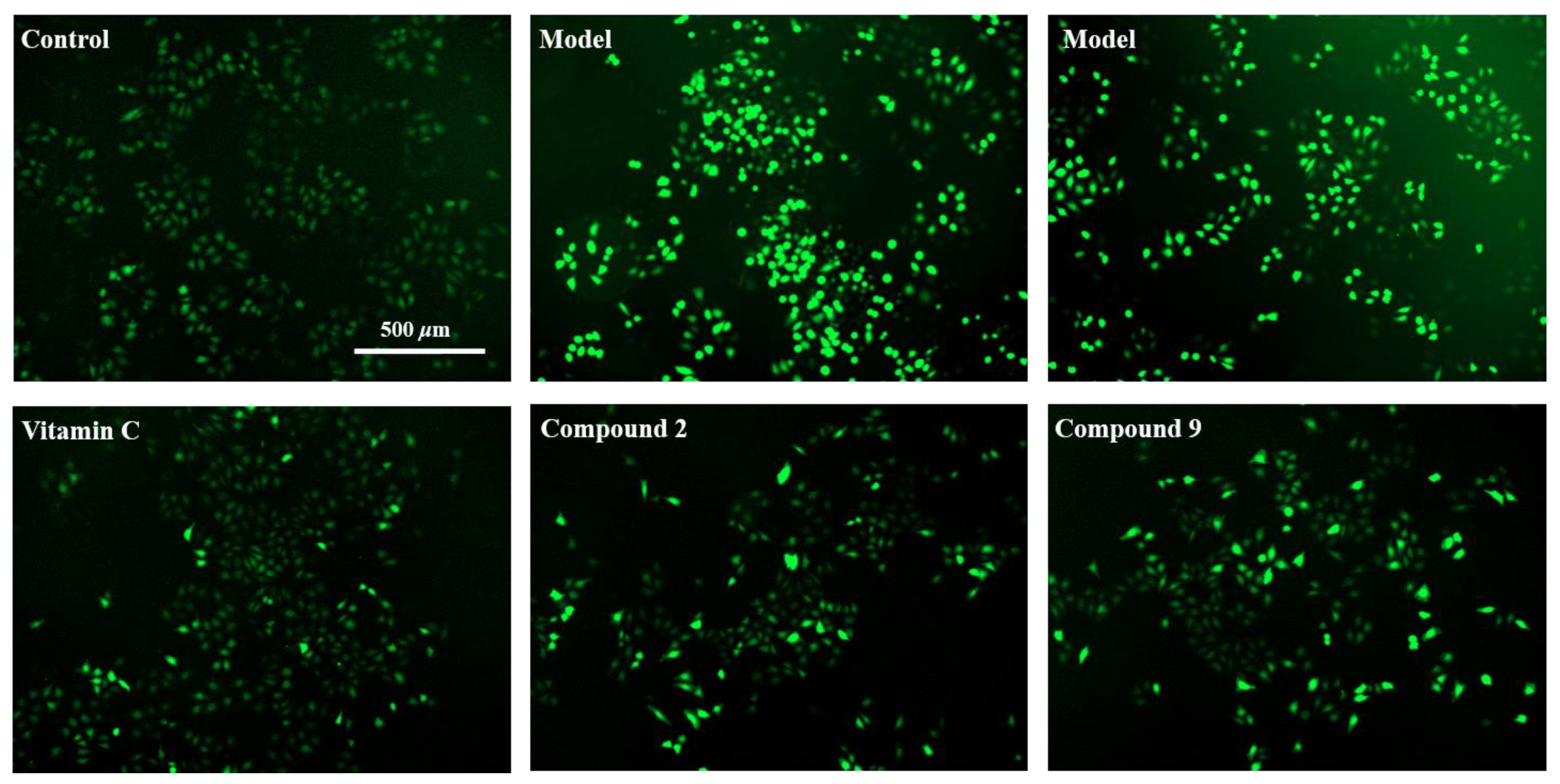 Antioxidants 10 00652 g010 Antioxidants 10 00652 g010