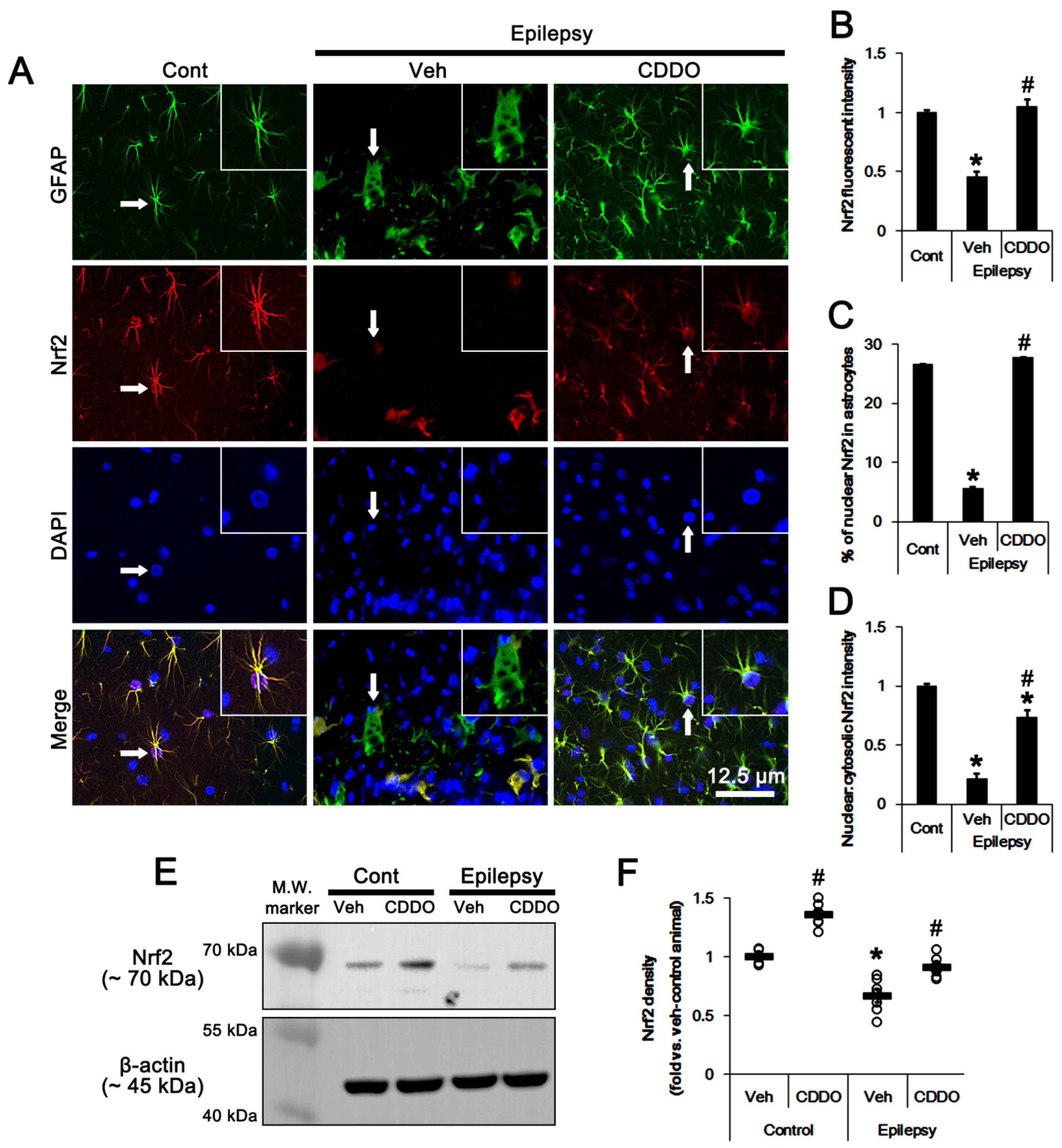 Antioxidants 10 00655 g001