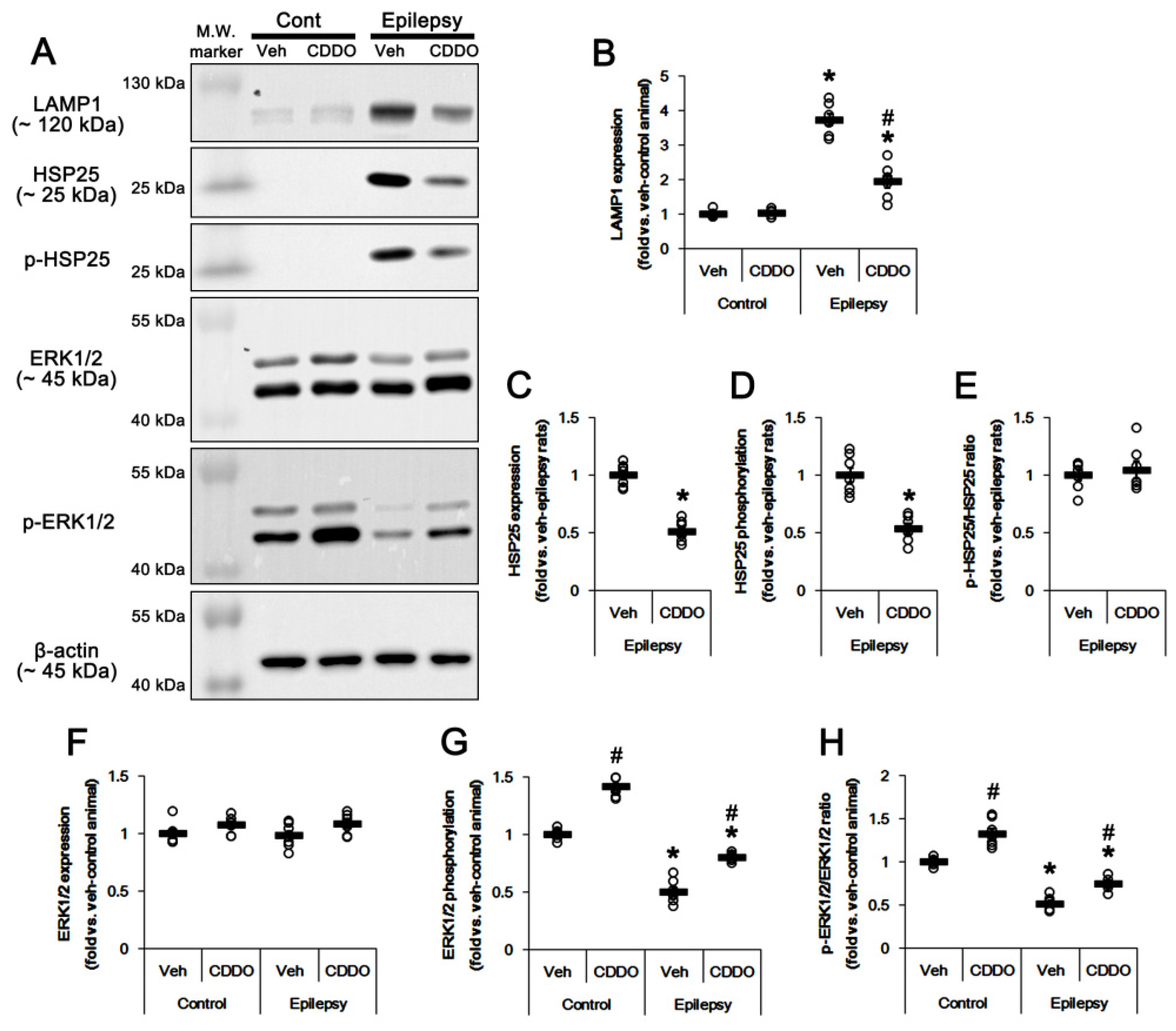 Antioxidants 10 00655 g003