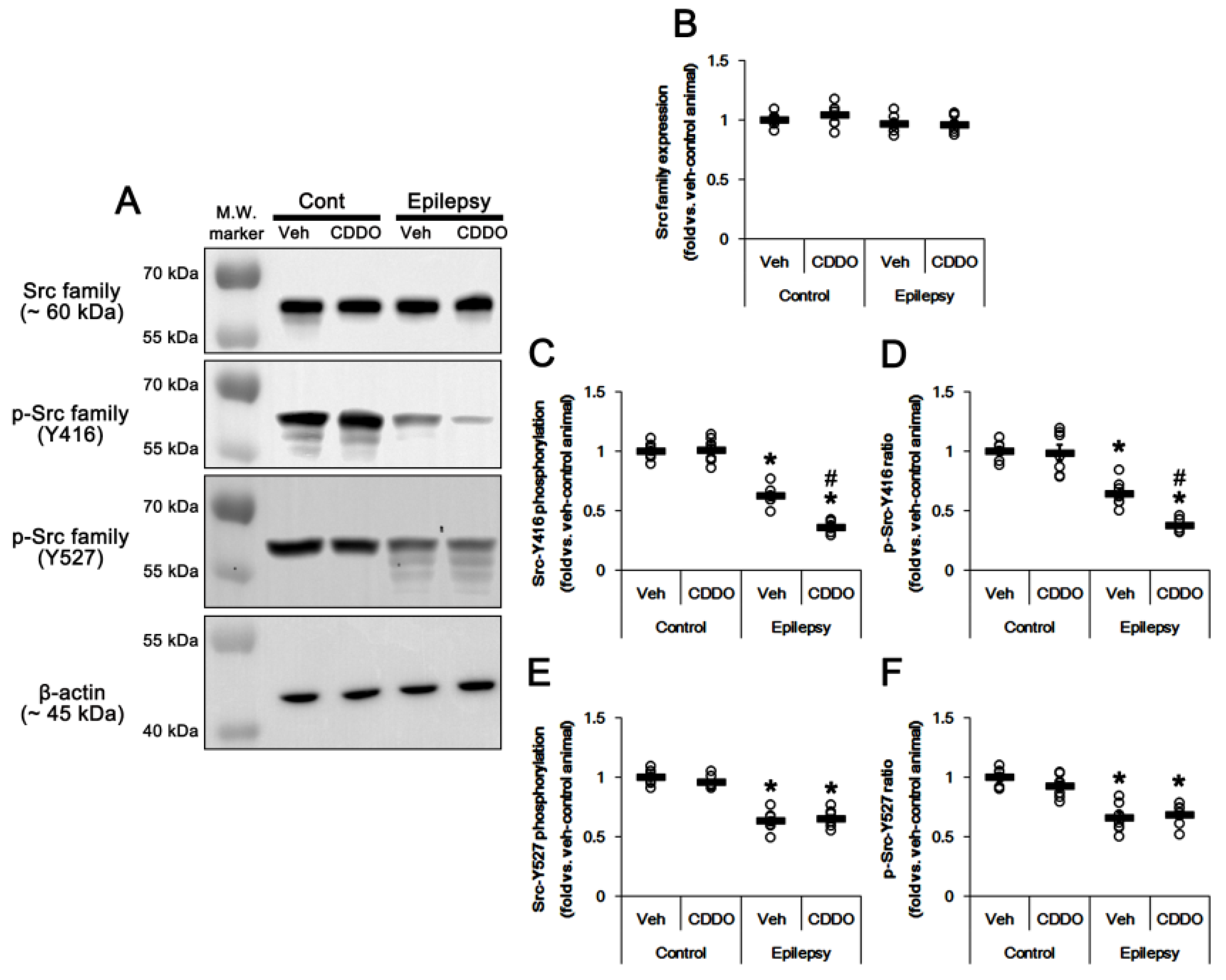 Antioxidants 10 00655 g006