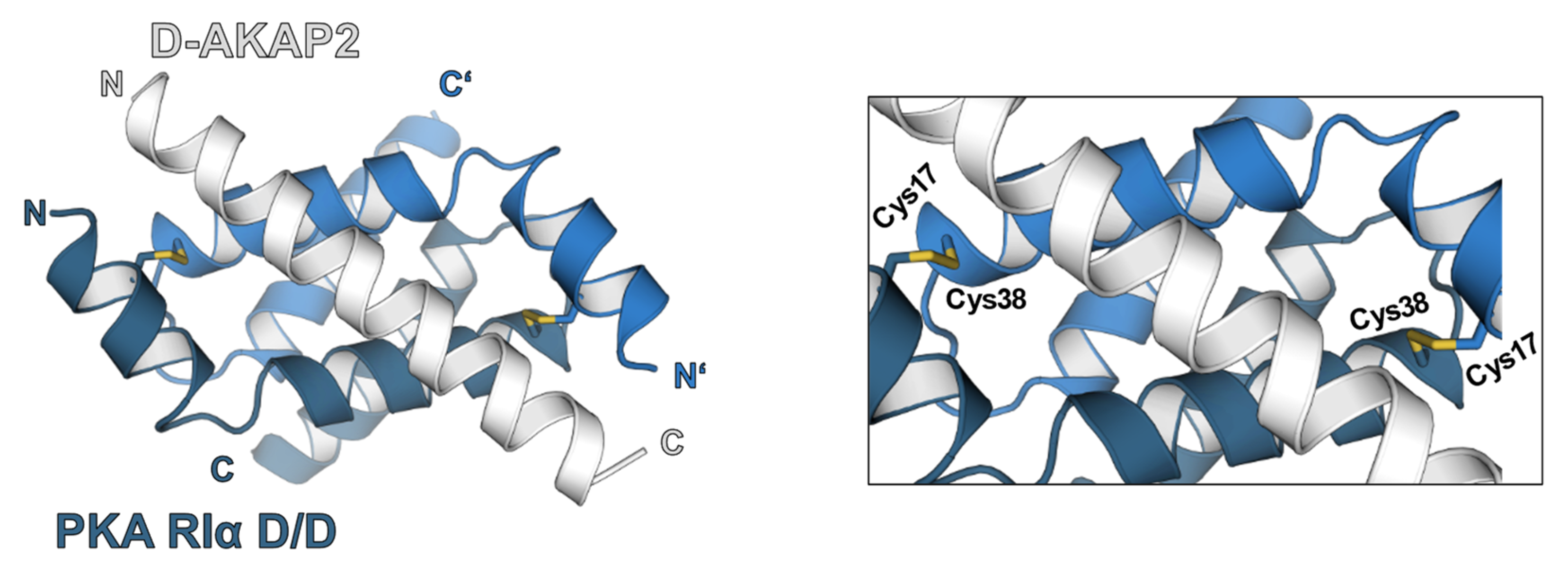Antioxidants 10 00663 g002 Antioxidants 10 00663 g002