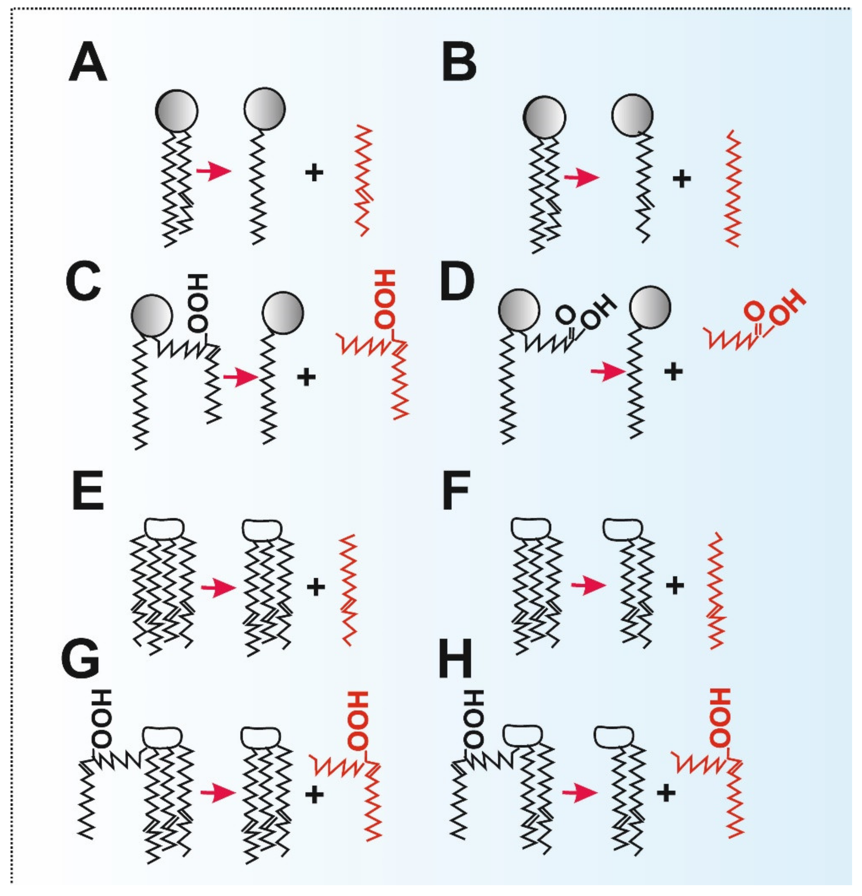 Antioxidants 10 00678 g003