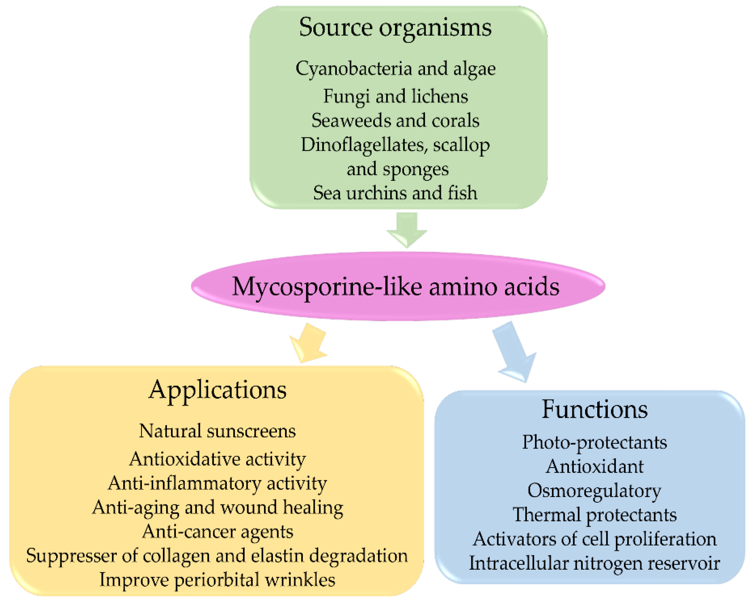 Antioxidants | Free Full-Text | Exploring Mycosporine-Like Amino Acids ...