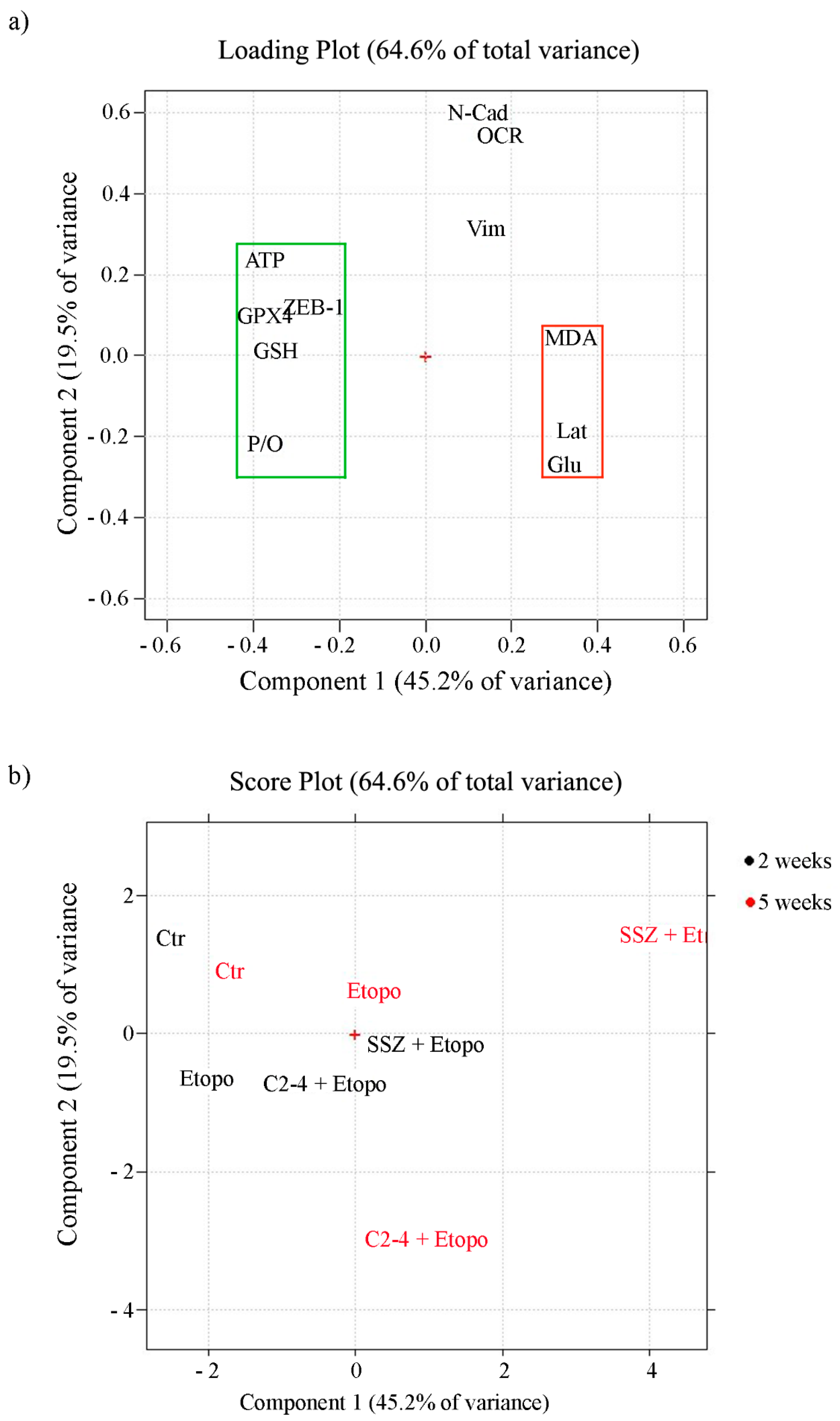Antioxidants 10 00691 g012 Antioxidants 10 00691 g012