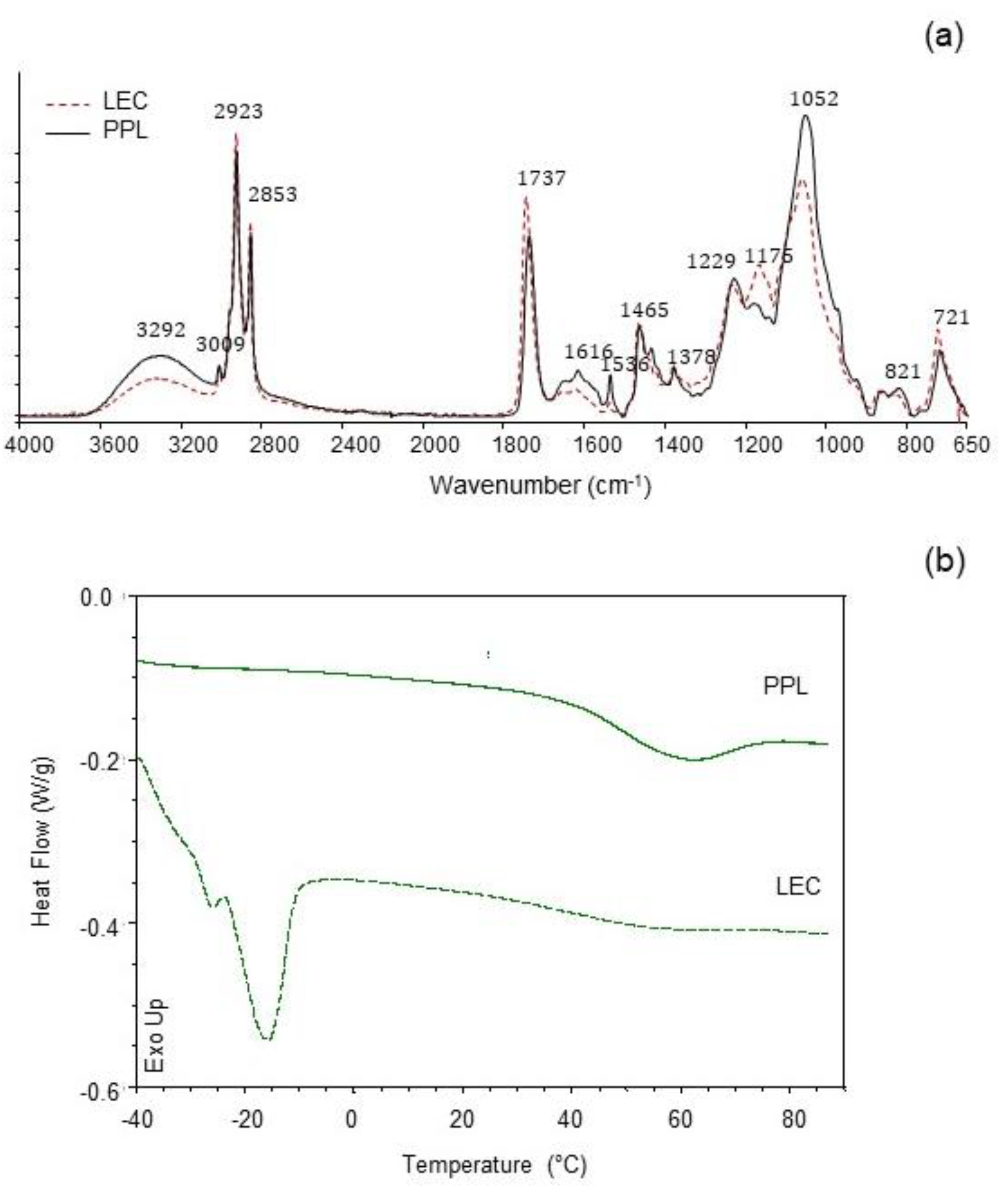 Antioxidants 10 00693 g002 Antioxidants 10 00693 g002