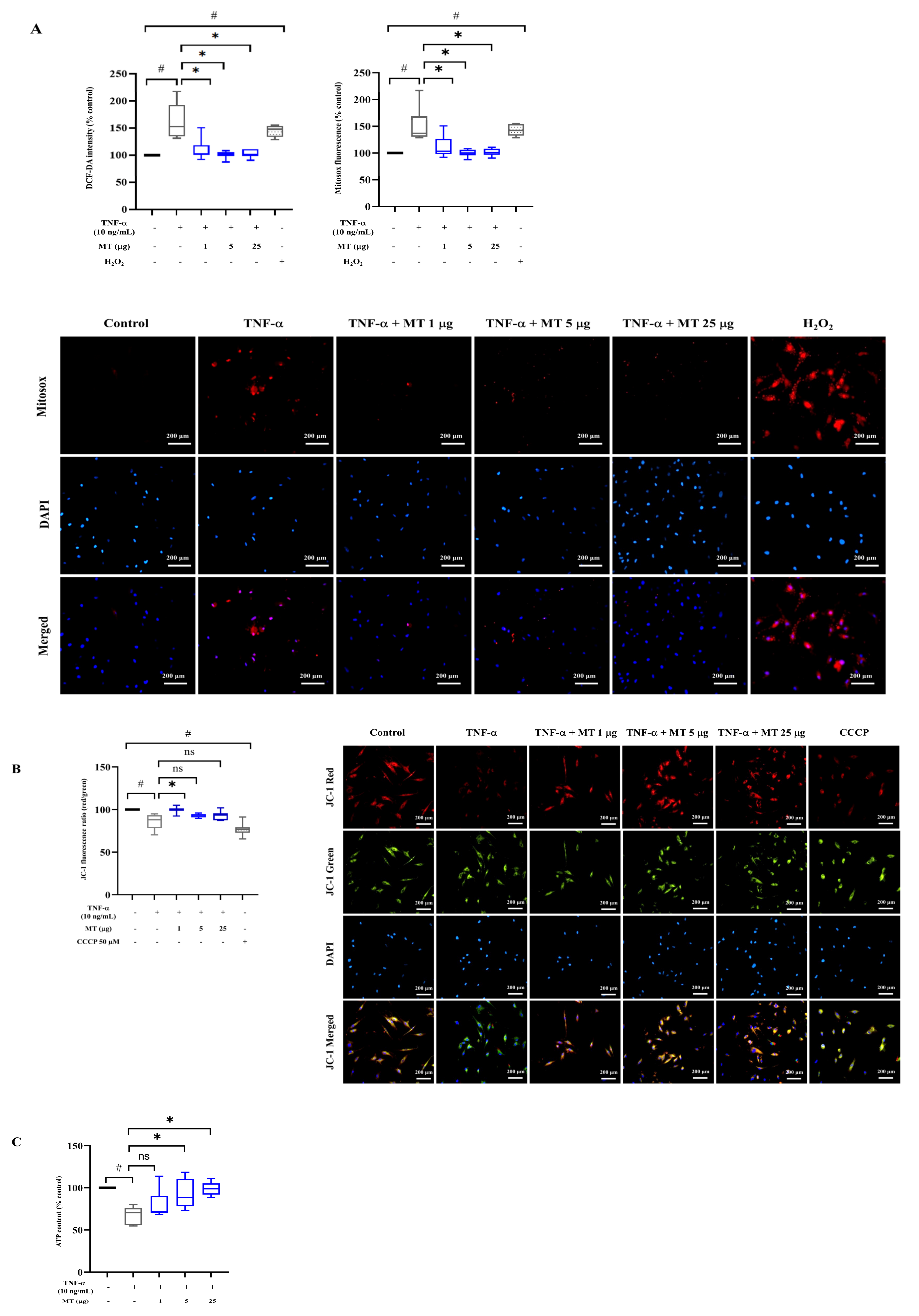 Antioxidants 10 00696 g002a