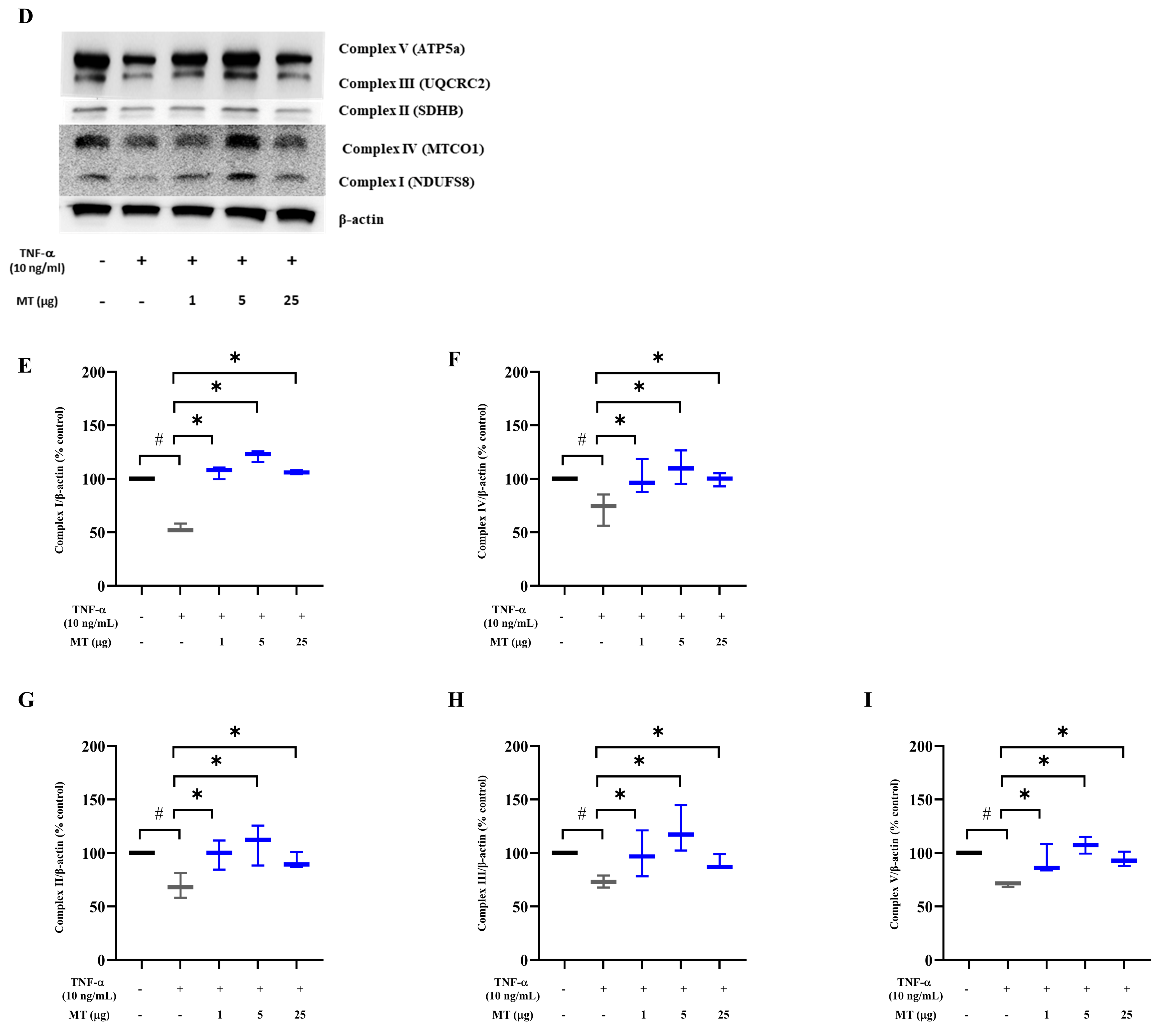 Antioxidants 10 00696 g002b