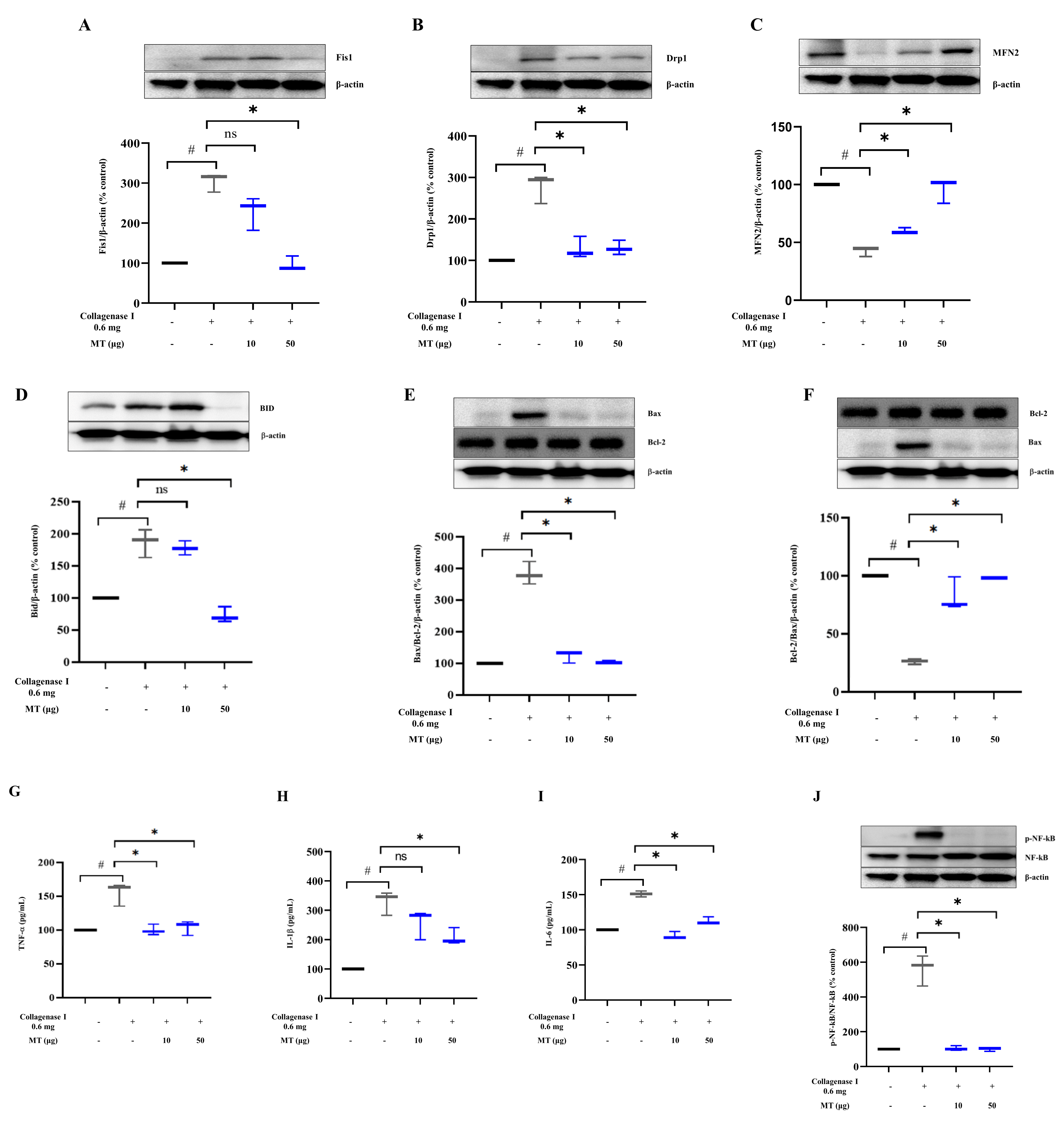Antioxidants 10 00696 g005